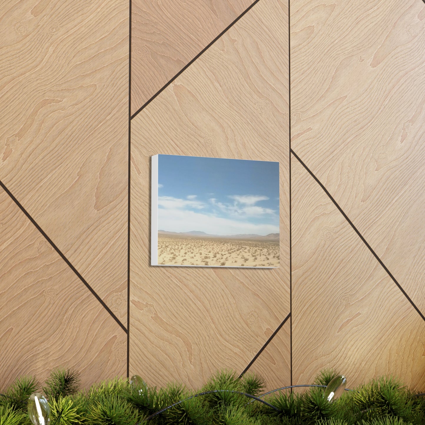 California Desert - Canvas Gallery Wraps