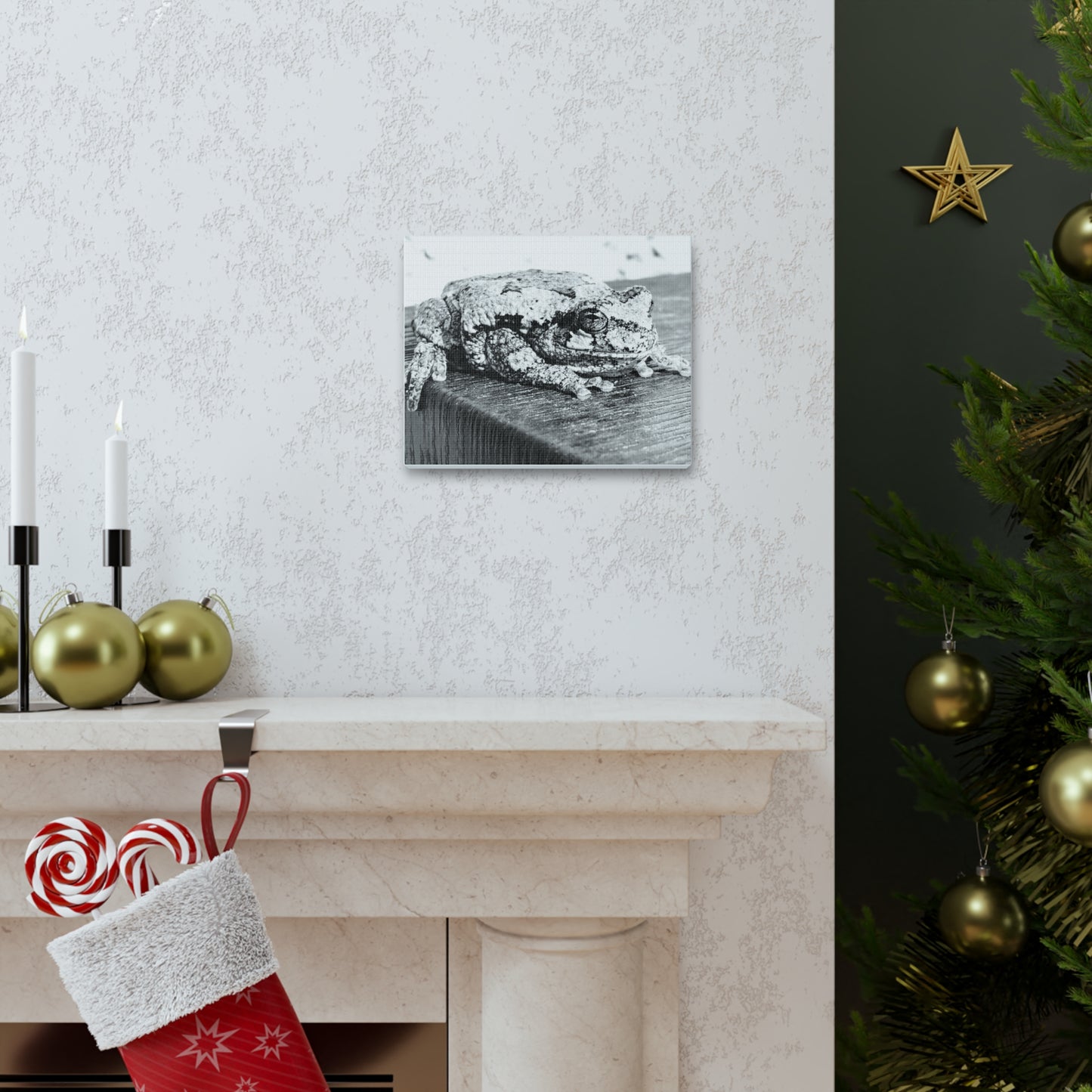 Tree Frog Patience - Canvas Gallery Wraps