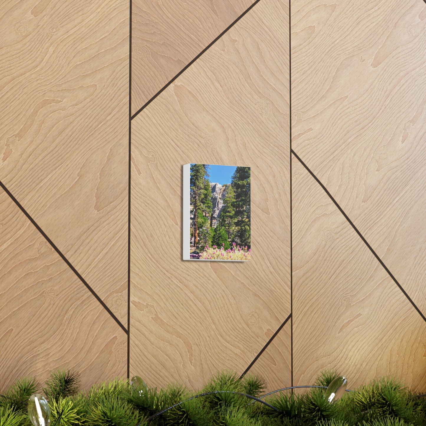 Mount San Jacinto State Park #1 - Canvas Gallery Wraps