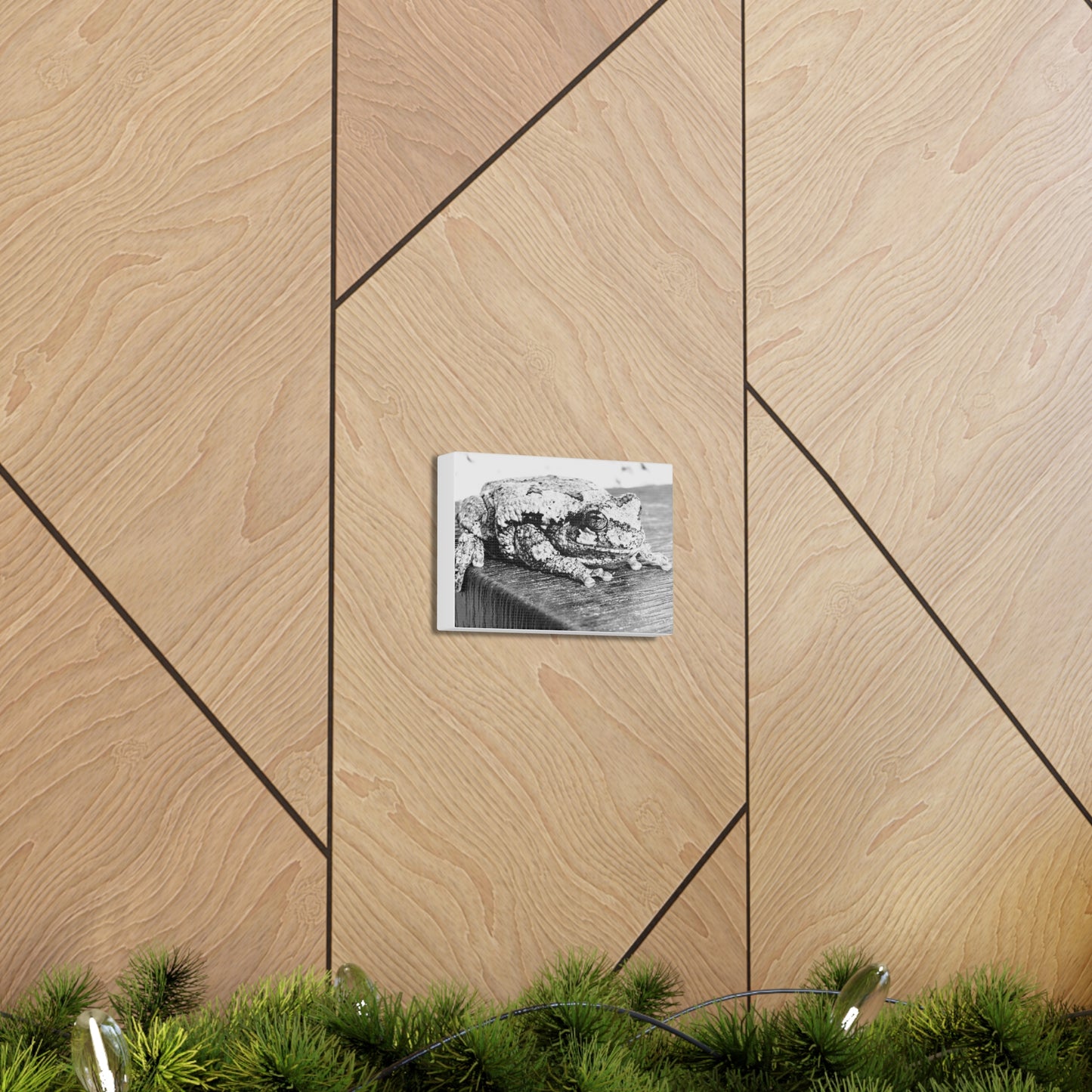 Tree Frog Patience - Canvas Gallery Wraps