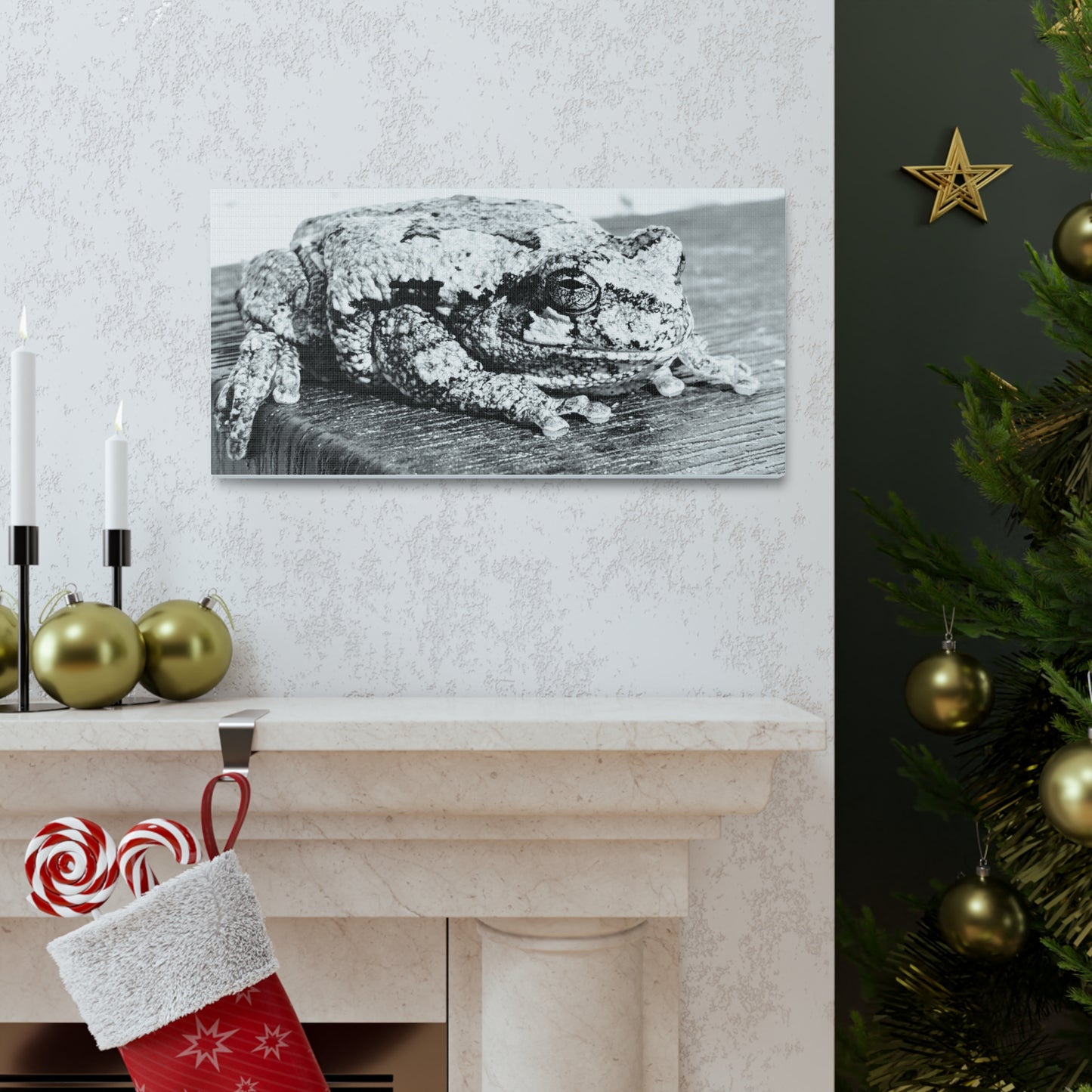 Tree Frog Patience - Canvas Gallery Wraps