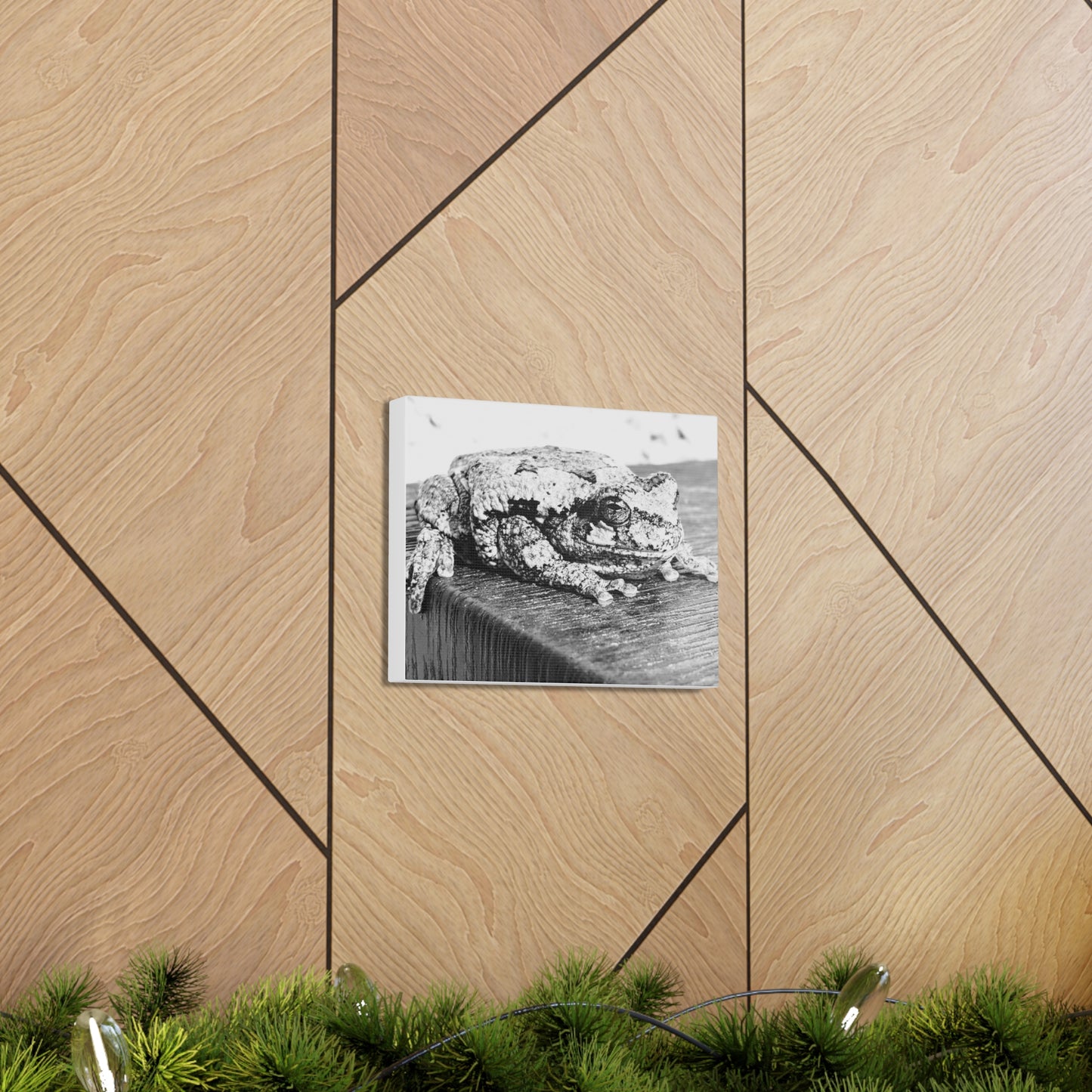 Tree Frog Patience - Canvas Gallery Wraps