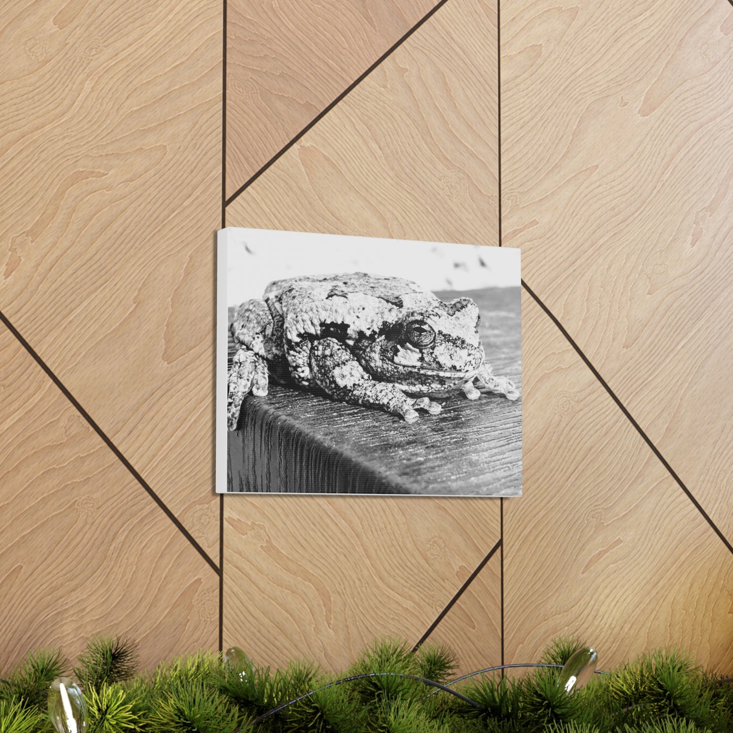 Tree Frog Patience - Canvas Gallery Wraps