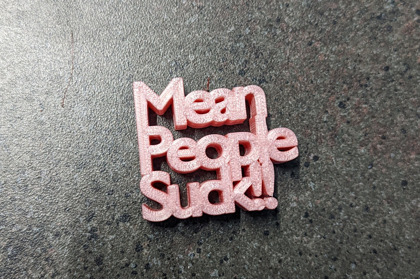 3d printed "Mean People Suck"
