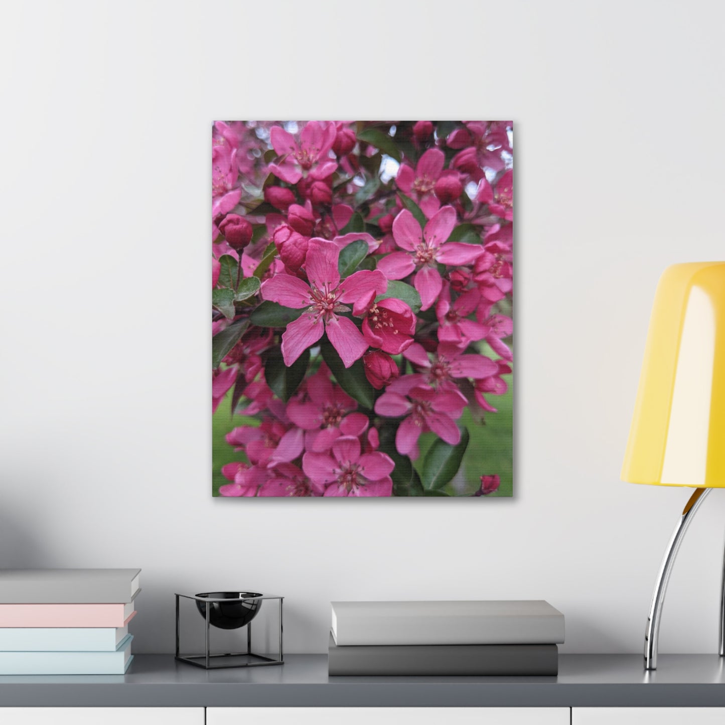 Apple Blossoms - Canvas Gallery Wraps
