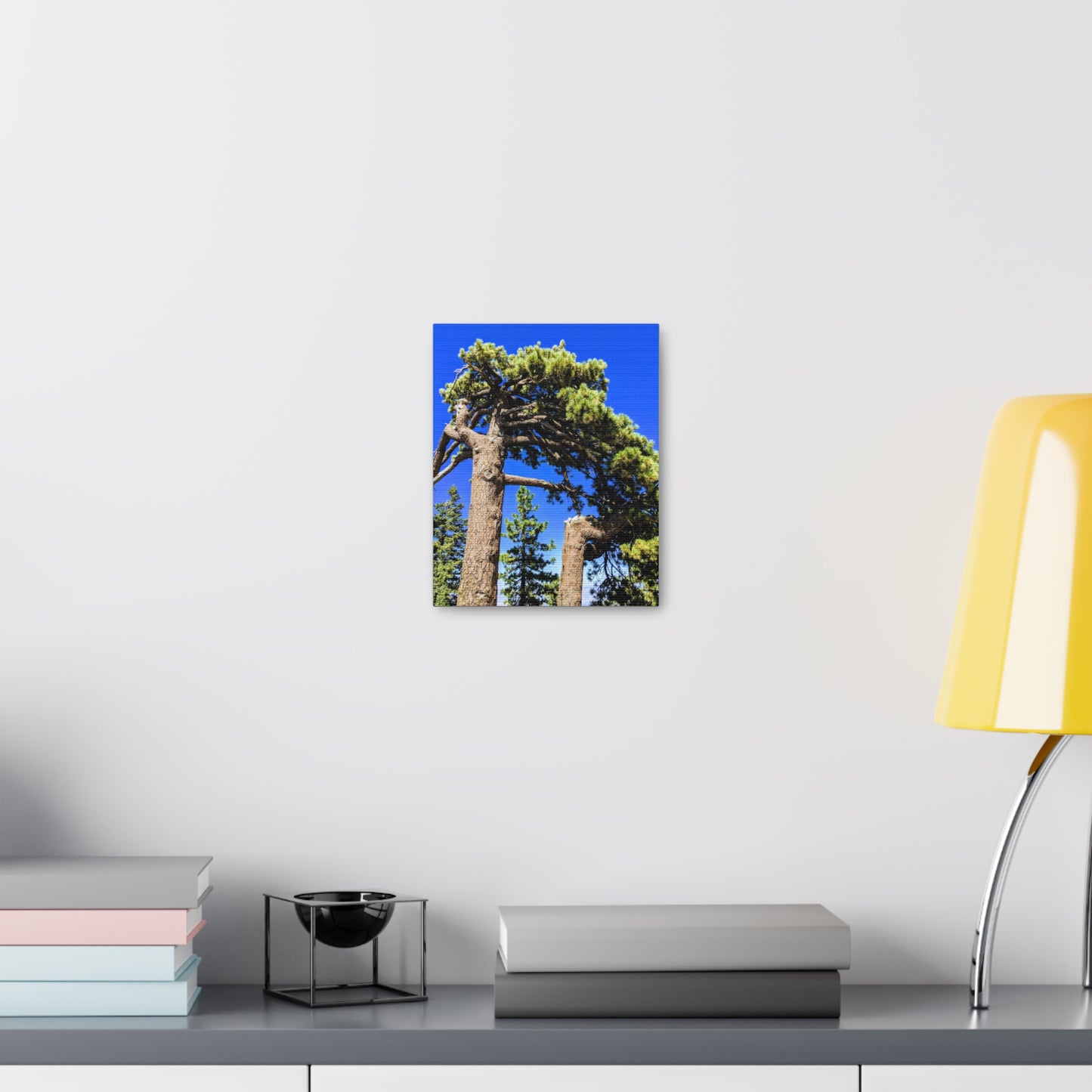 Mount San Jacinto State Park #3 - Canvas Gallery Wraps