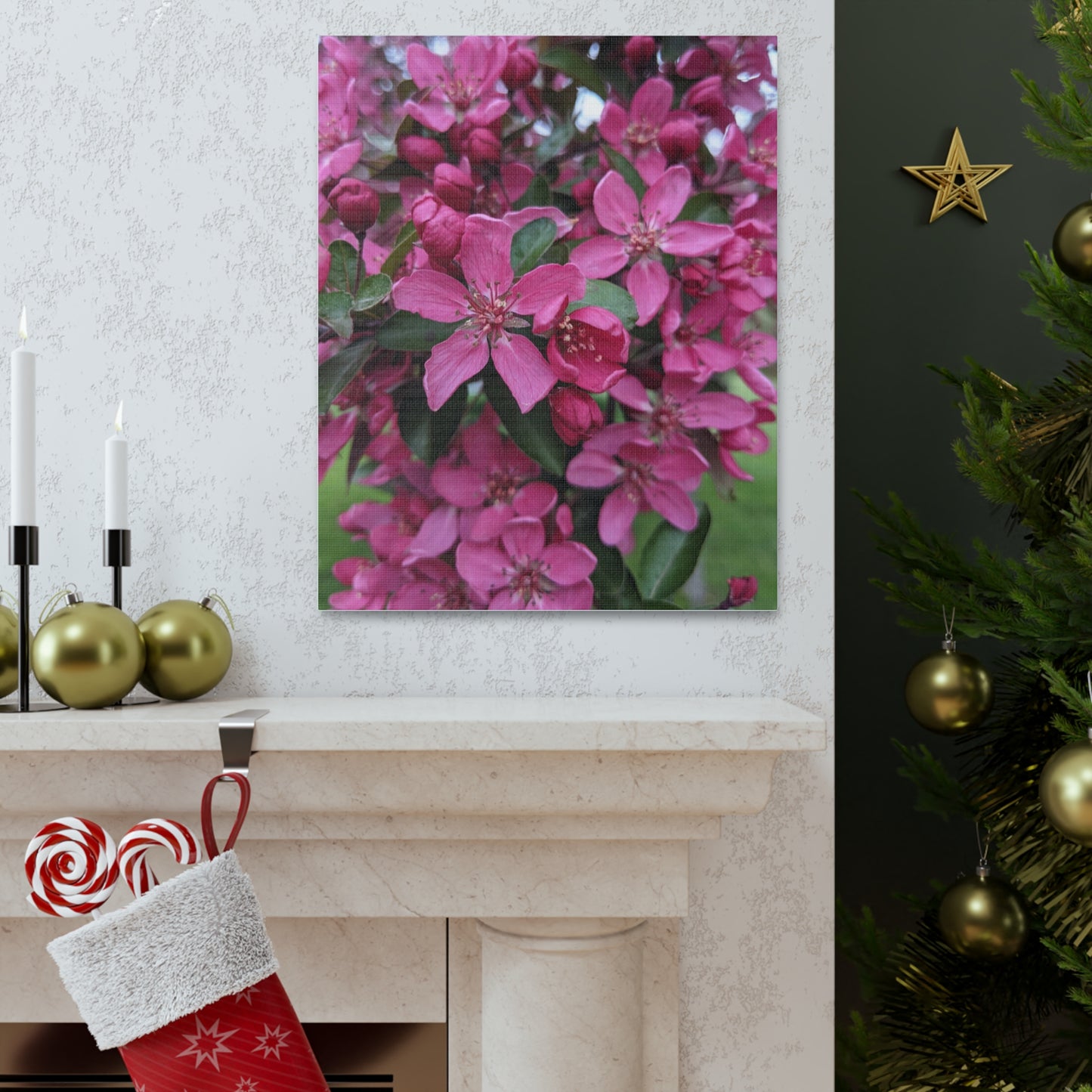 Apple Blossoms - Canvas Gallery Wraps