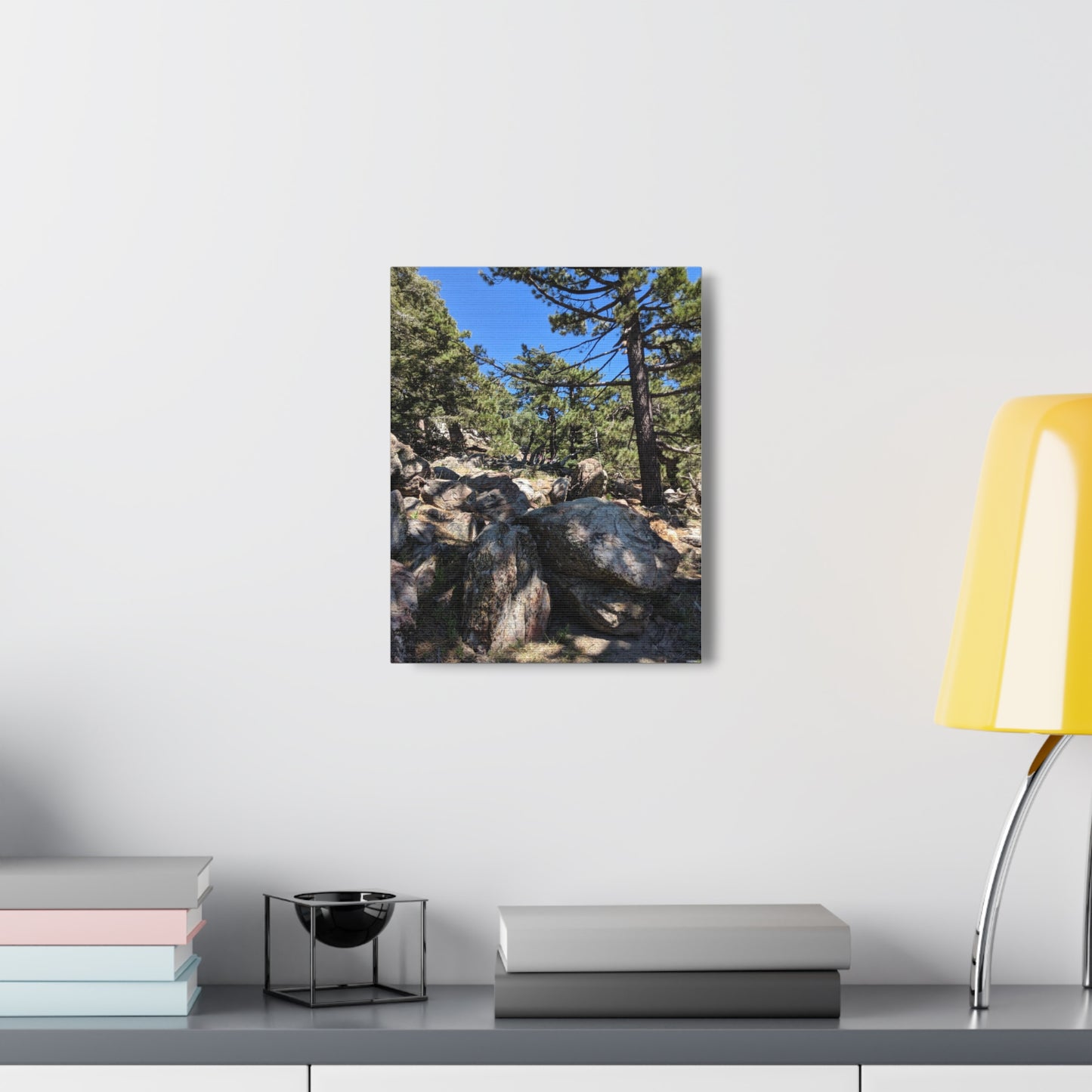Mount San Jacinto State Park #2 - Canvas Gallery Wraps