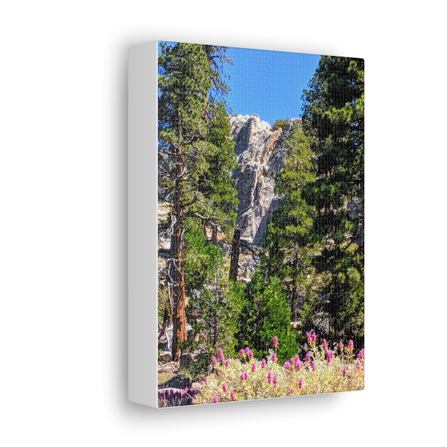 Mount San Jacinto State Park #1 - Canvas Gallery Wraps