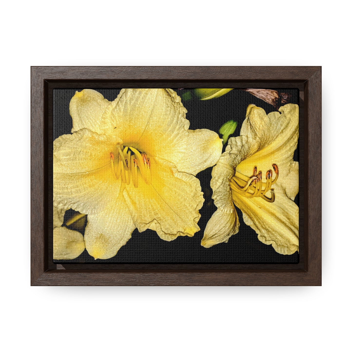 Yellow Flower - Gallery Canvas Wraps, Horizontal Frame