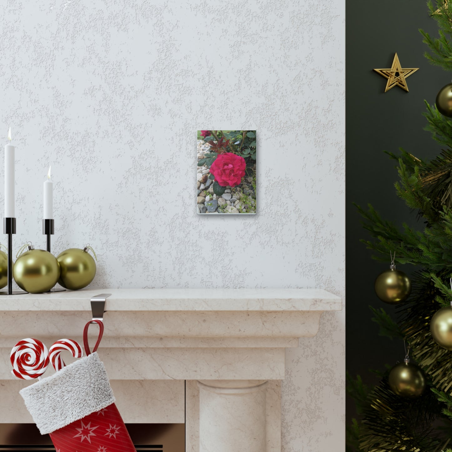 A Garden Rose - Canvas Gallery Wraps