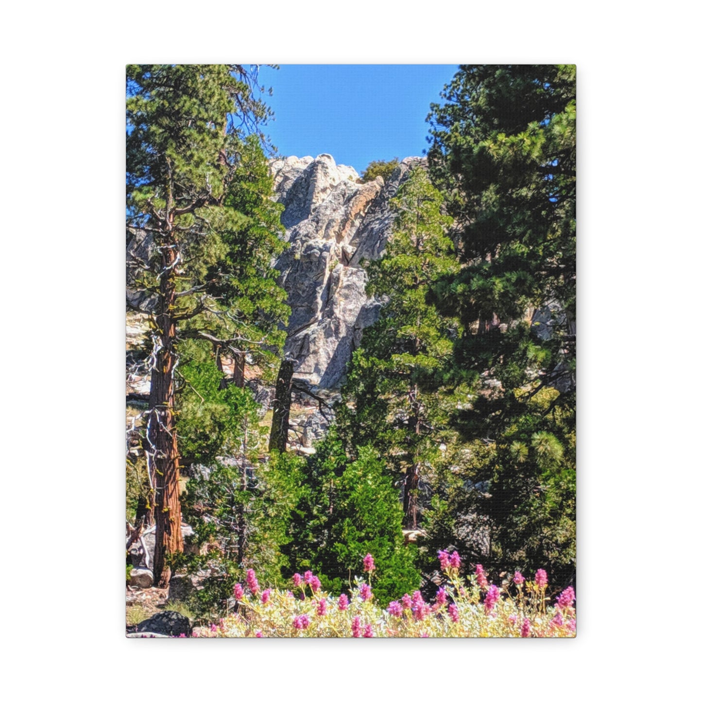 Mount San Jacinto State Park #1 - Canvas Gallery Wraps