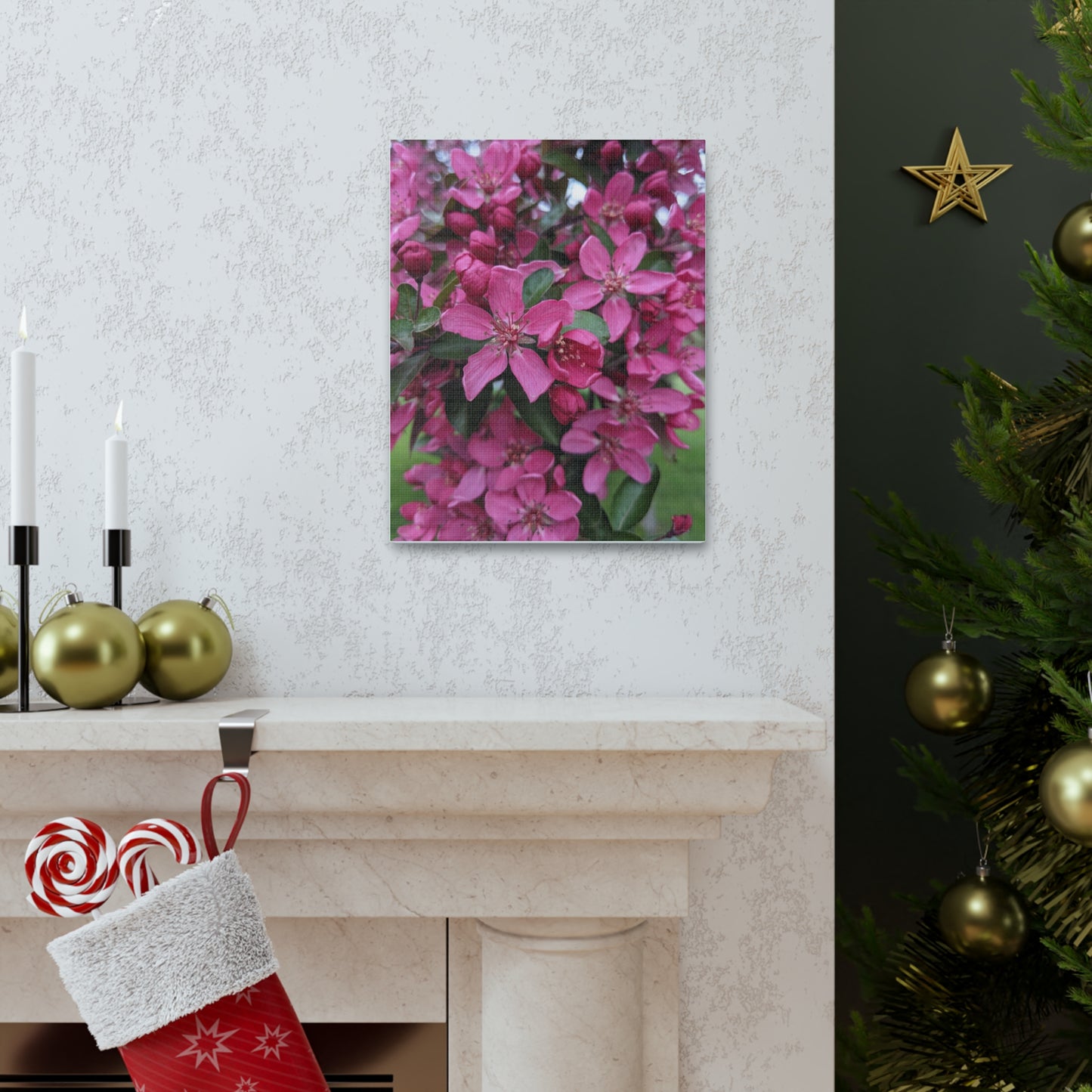 Apple Blossoms - Canvas Gallery Wraps