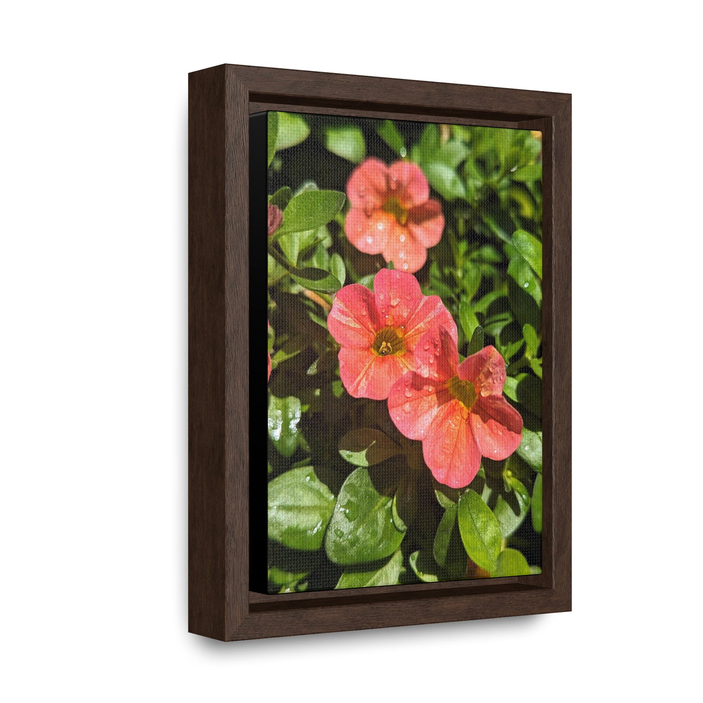 Garden flower after a gentle rain #2