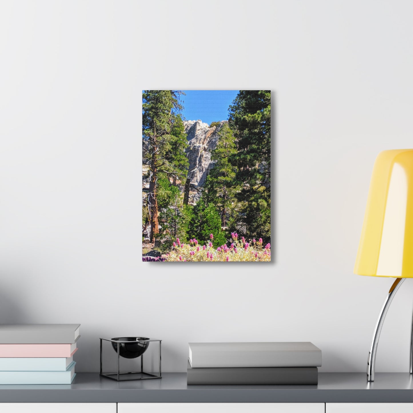 Mount San Jacinto State Park #1 - Canvas Gallery Wraps