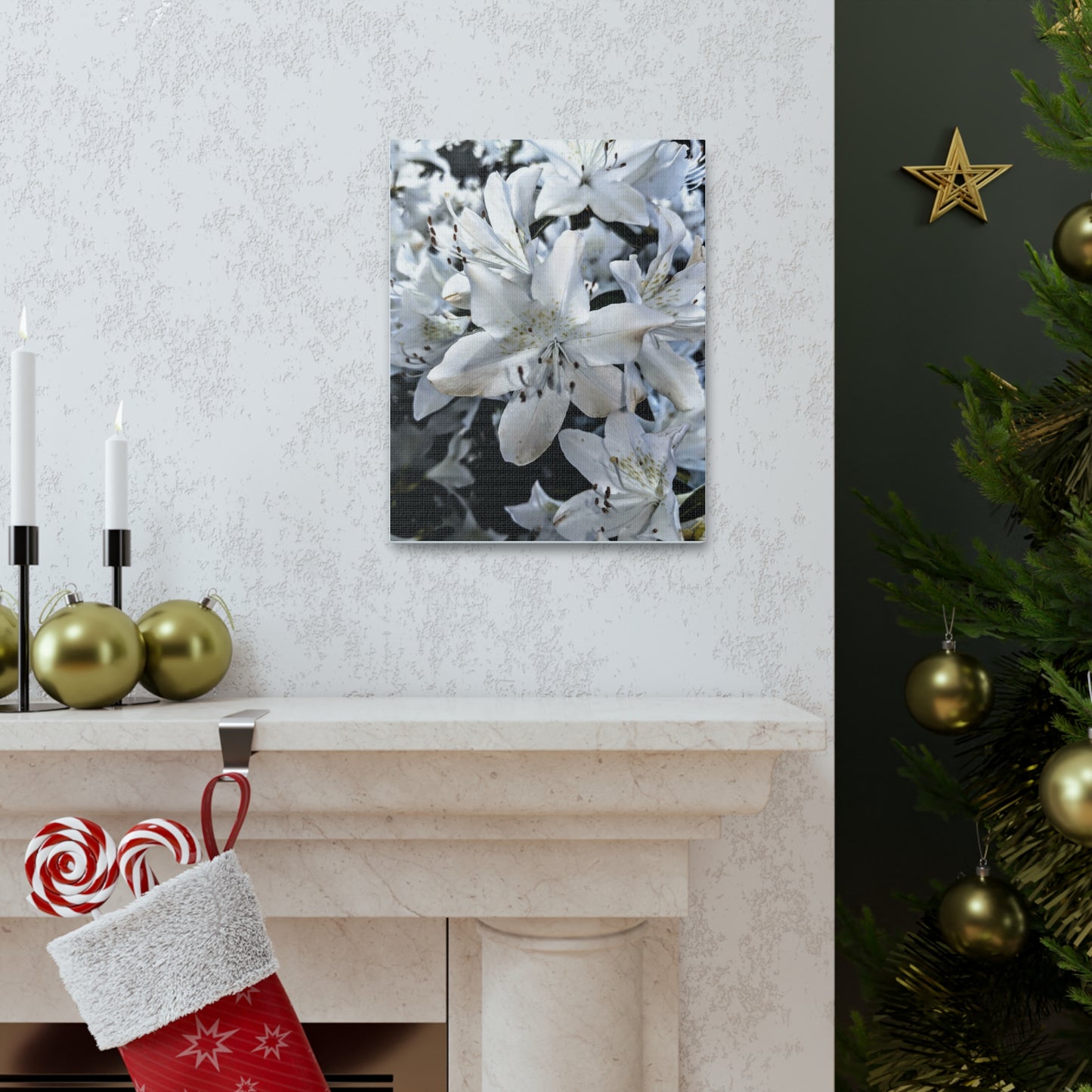 Classic White Blooms - Canvas Gallery Wraps