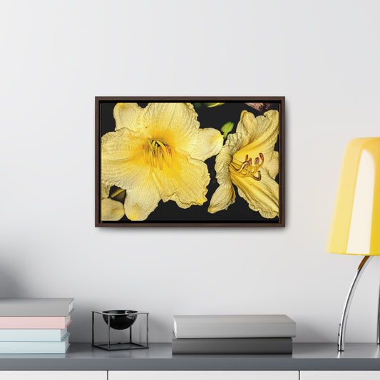Yellow Flower - Gallery Canvas Wraps, Horizontal Frame