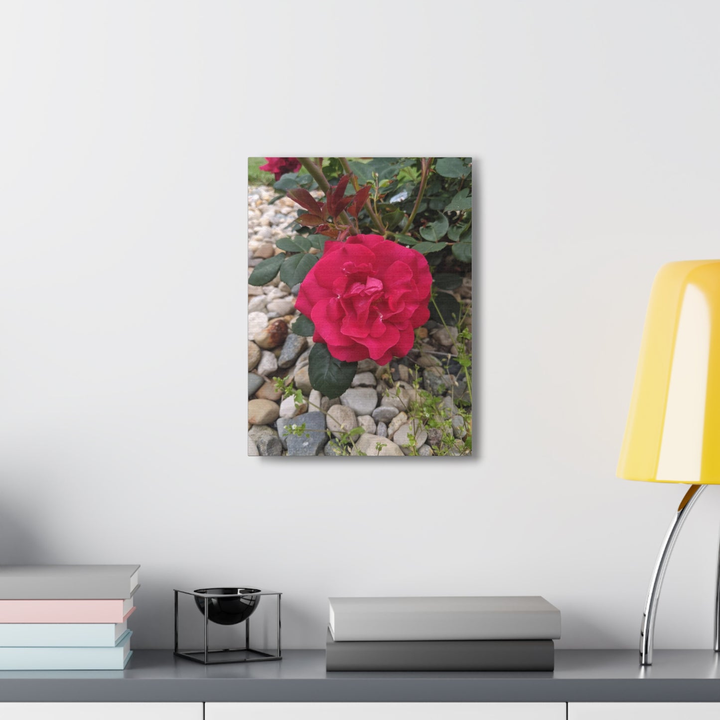 A Garden Rose - Canvas Gallery Wraps