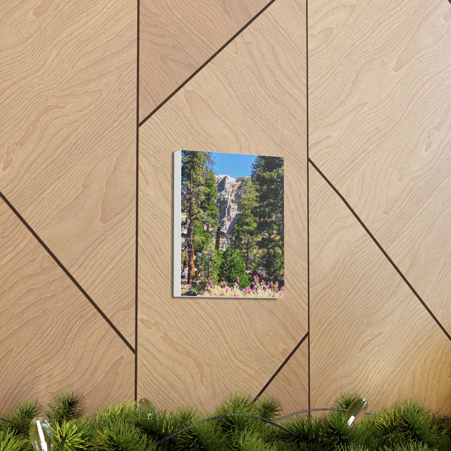 Mount San Jacinto State Park #1 - Canvas Gallery Wraps