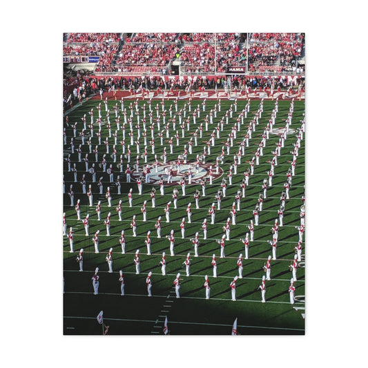 Alabama University Half-Time Show - Canvas Gallery Wraps