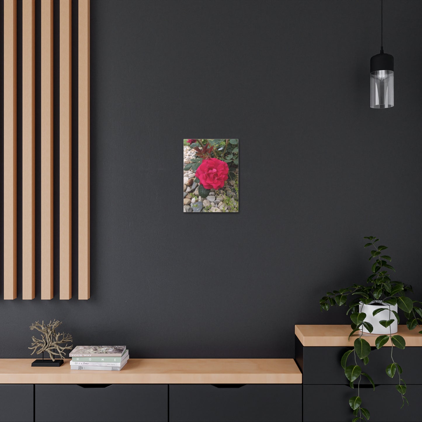 A Garden Rose - Canvas Gallery Wraps