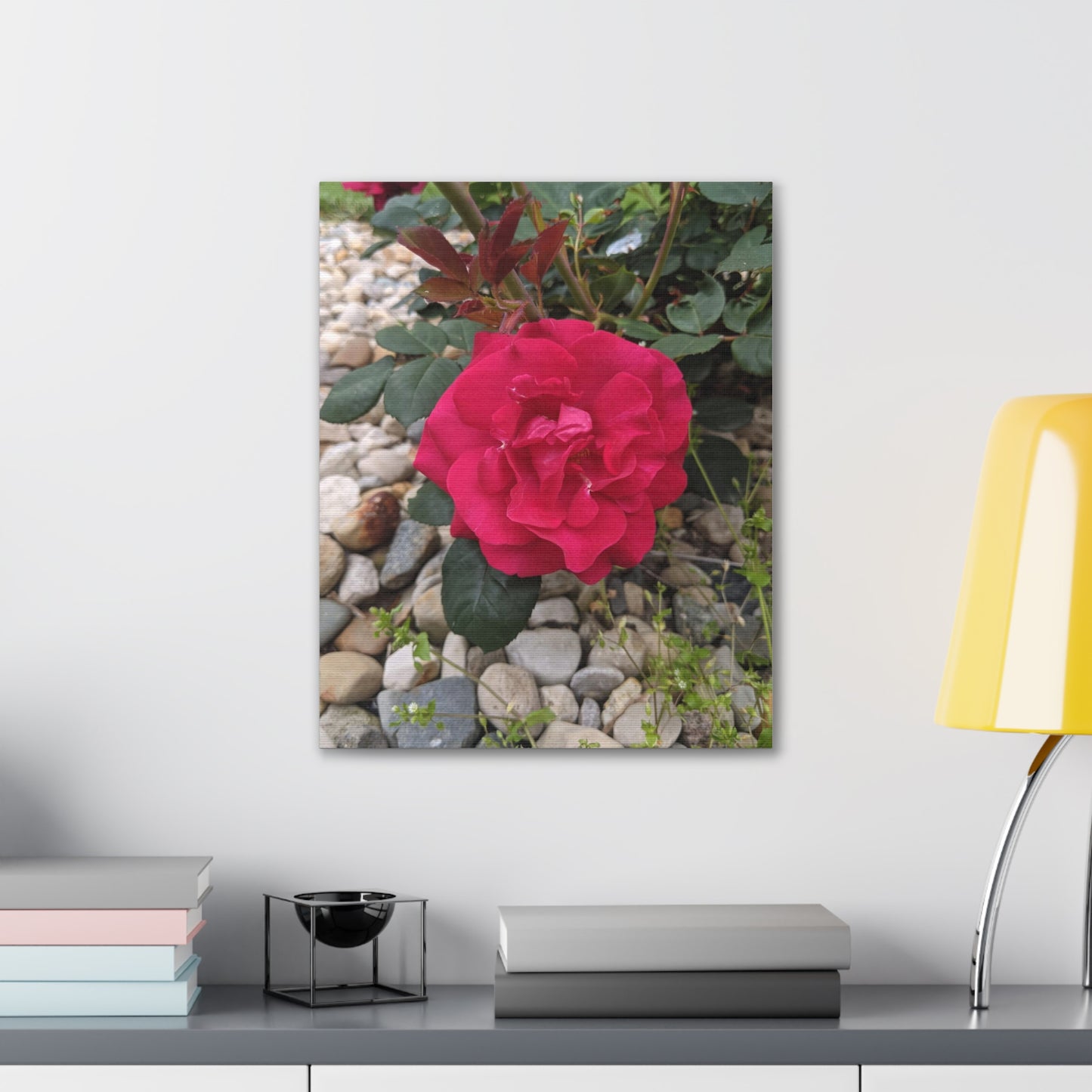 A Garden Rose - Canvas Gallery Wraps