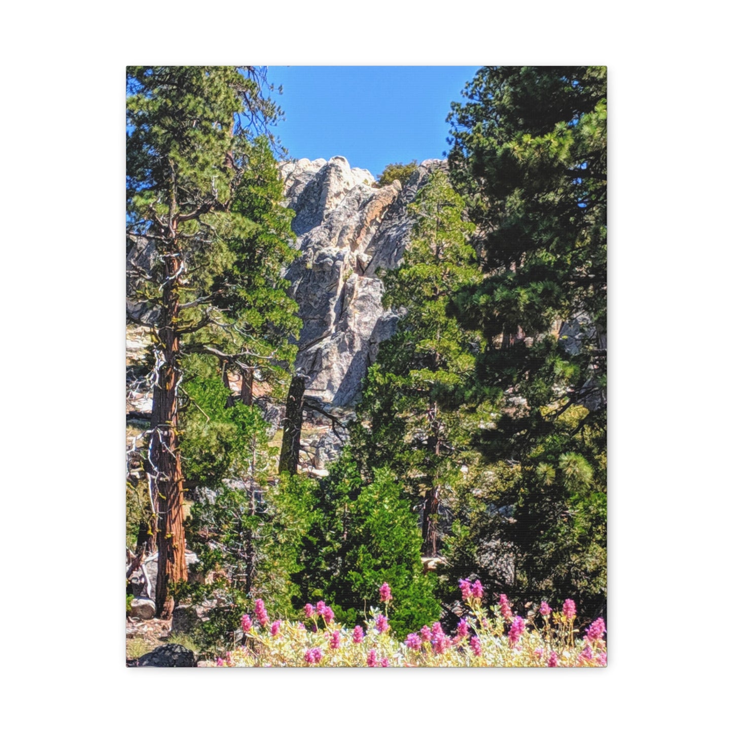 Mount San Jacinto State Park #1 - Canvas Gallery Wraps