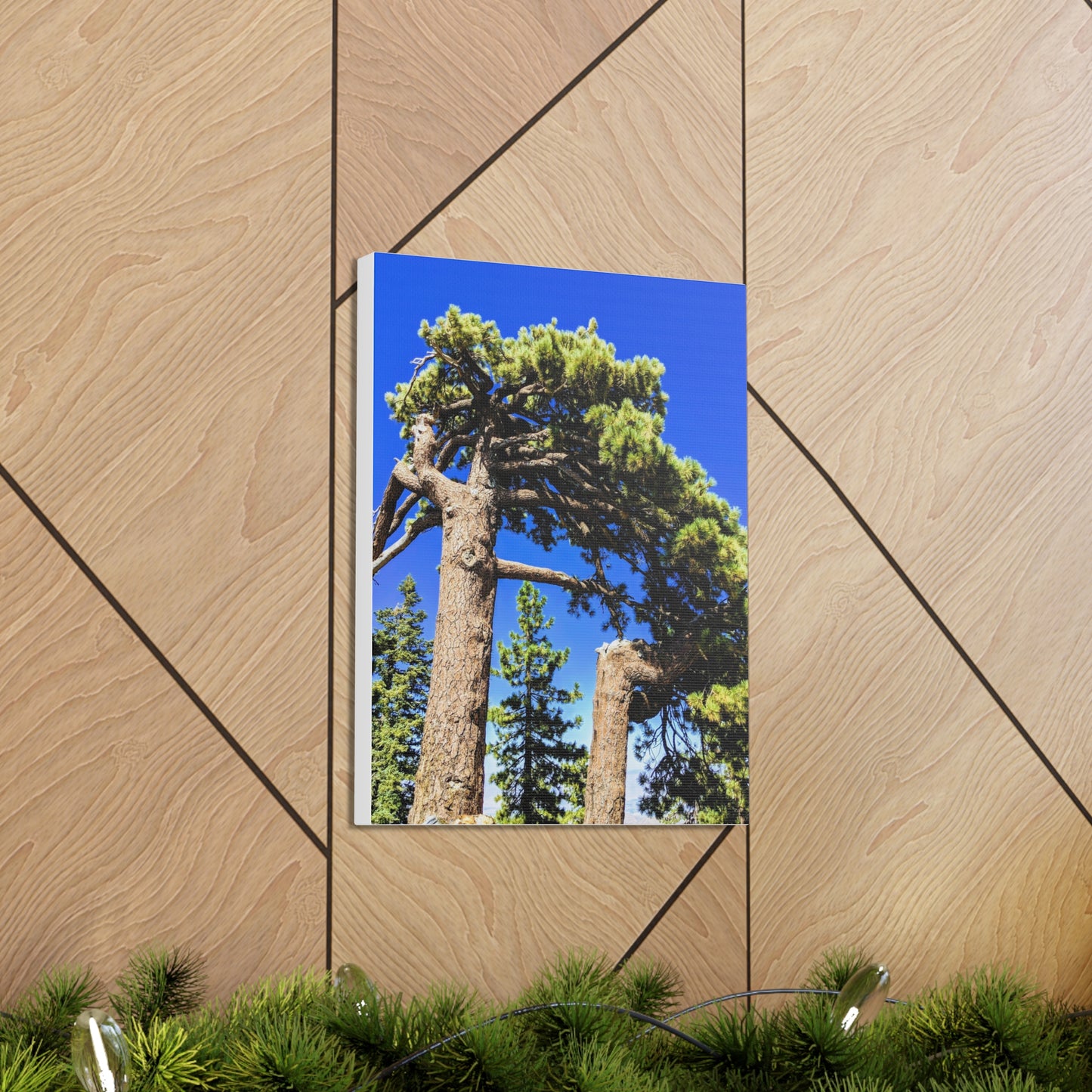 Mount San Jacinto State Park #3 - Canvas Gallery Wraps