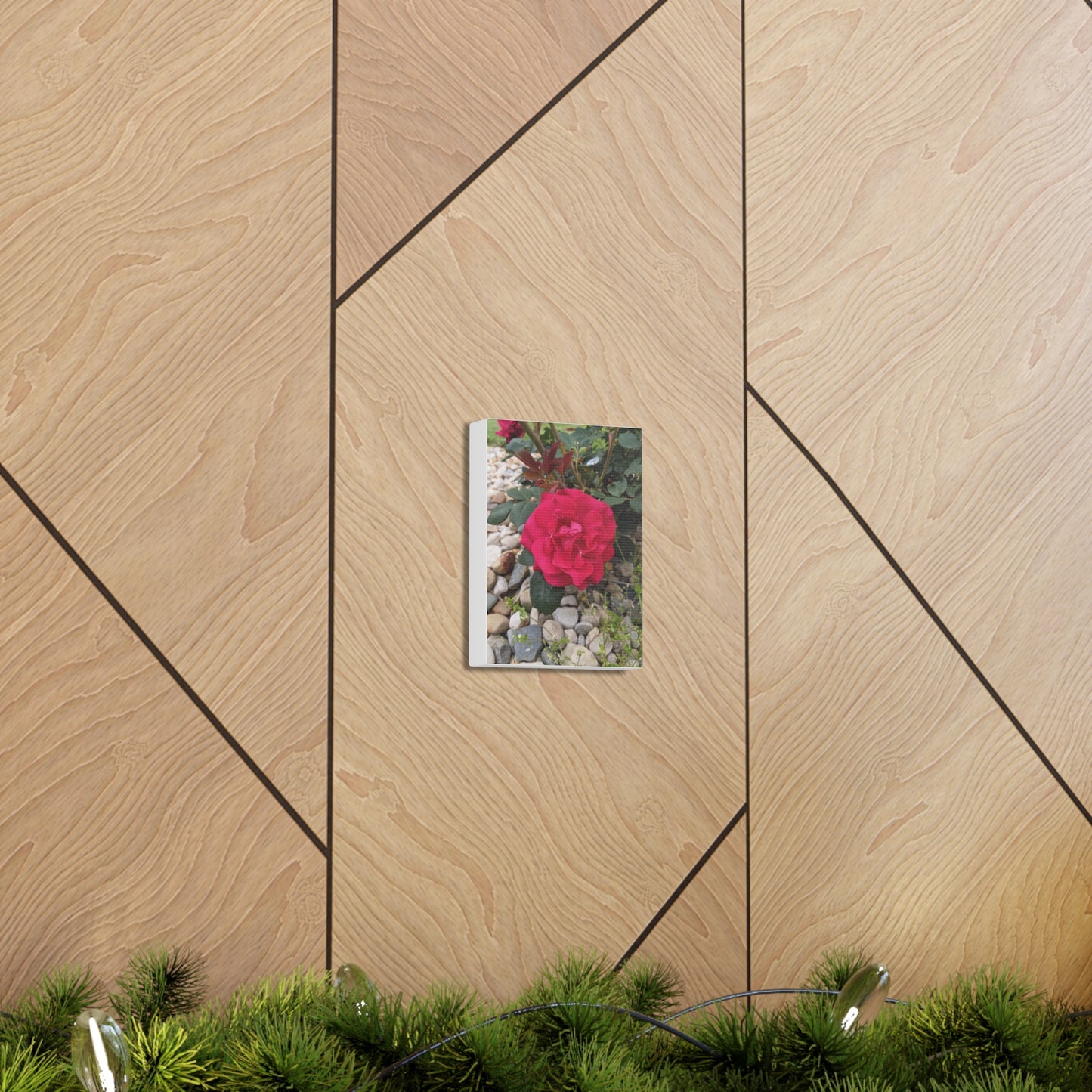 A Garden Rose - Canvas Gallery Wraps