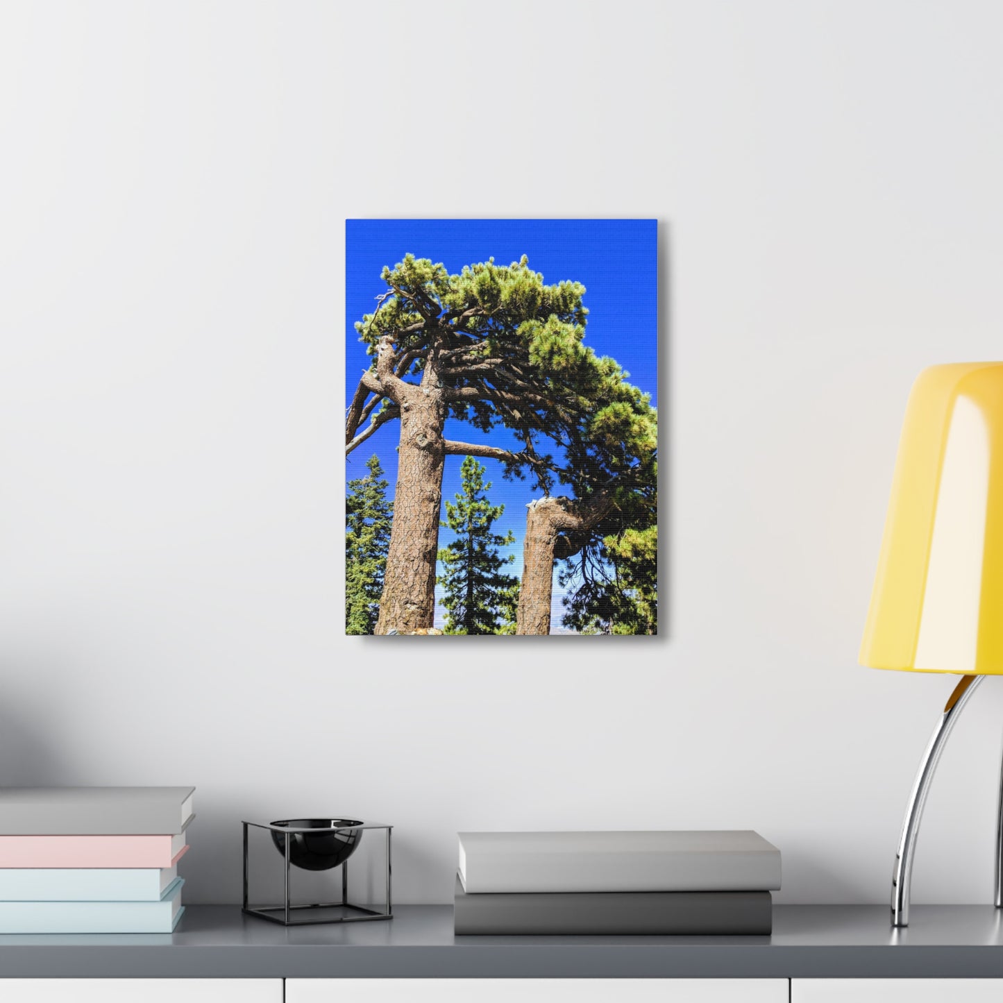 Mount San Jacinto State Park #3 - Canvas Gallery Wraps