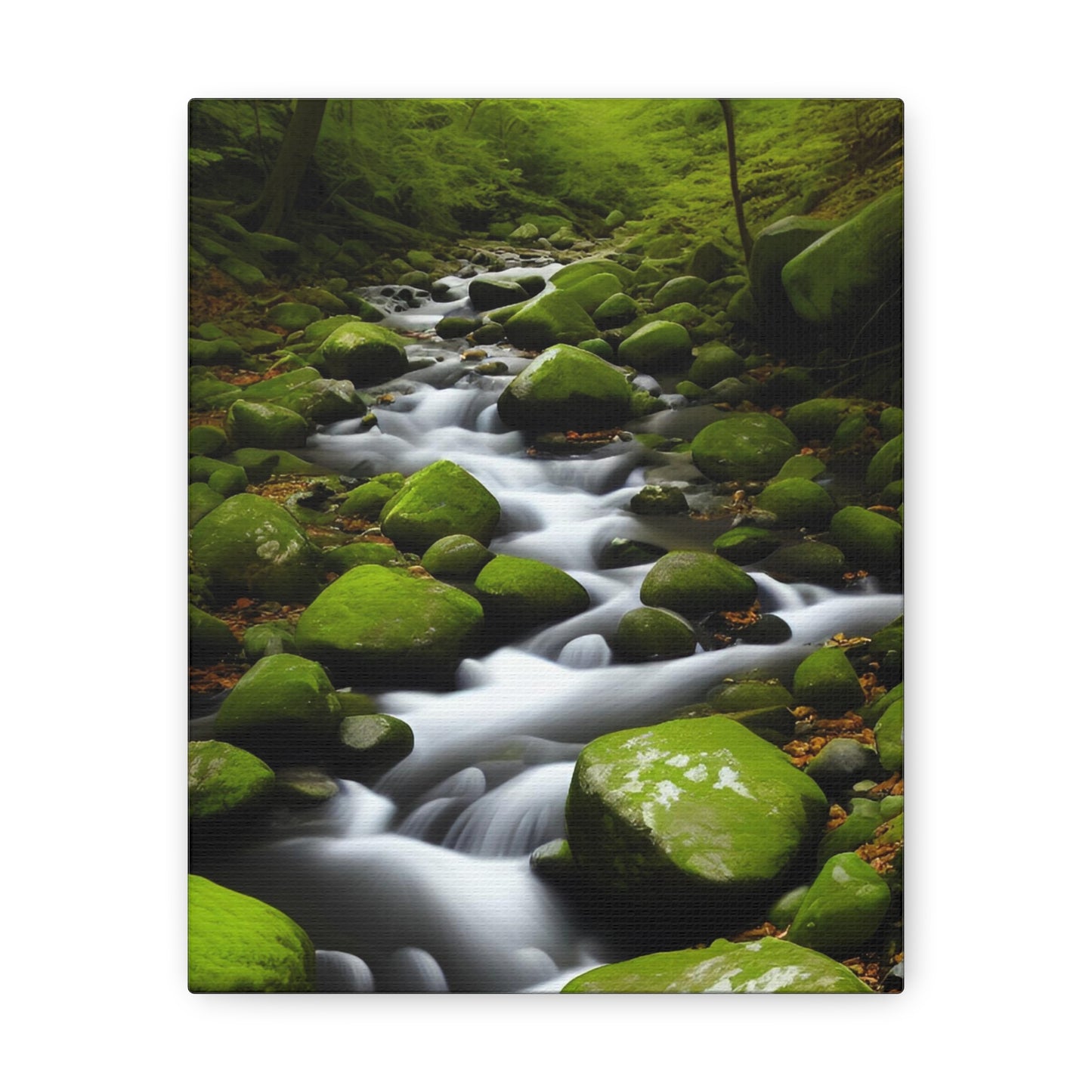 Calming stream flowing through a verdant wood