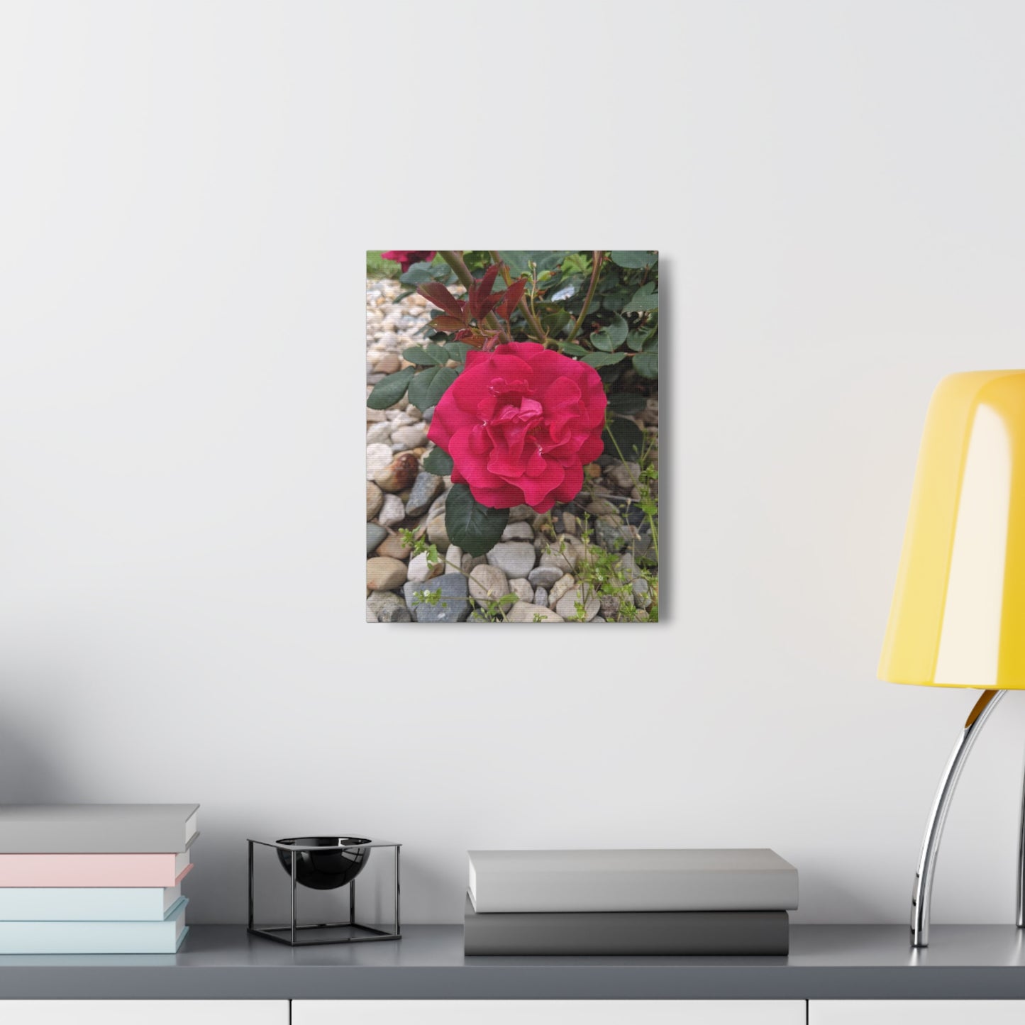 A Garden Rose - Canvas Gallery Wraps