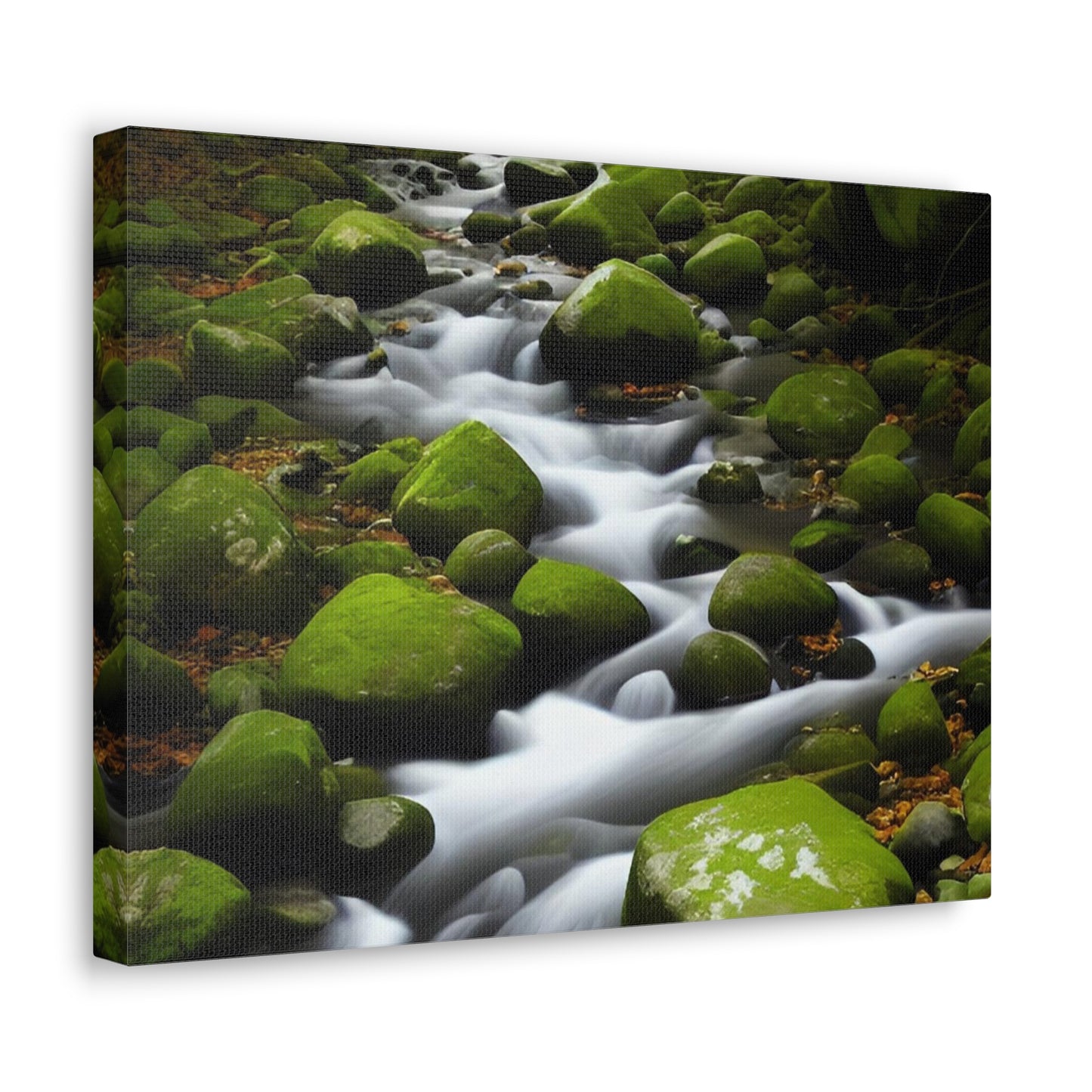 Calming stream flowing through a verdant wood