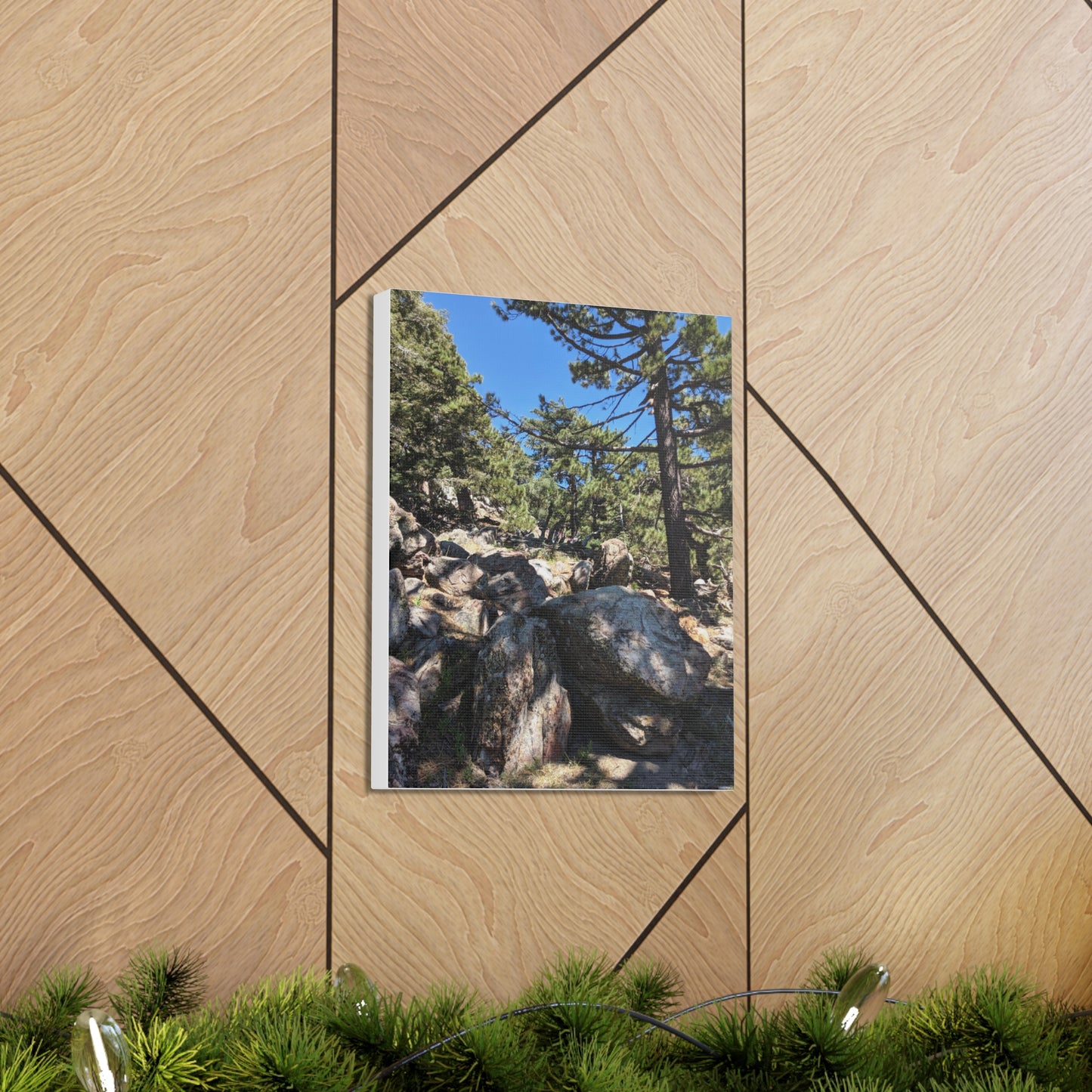 Mount San Jacinto State Park #2 - Canvas Gallery Wraps