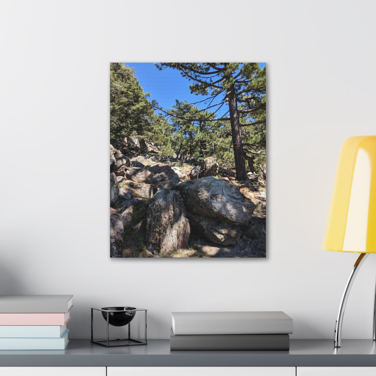Mount San Jacinto State Park #2 - Canvas Gallery Wraps