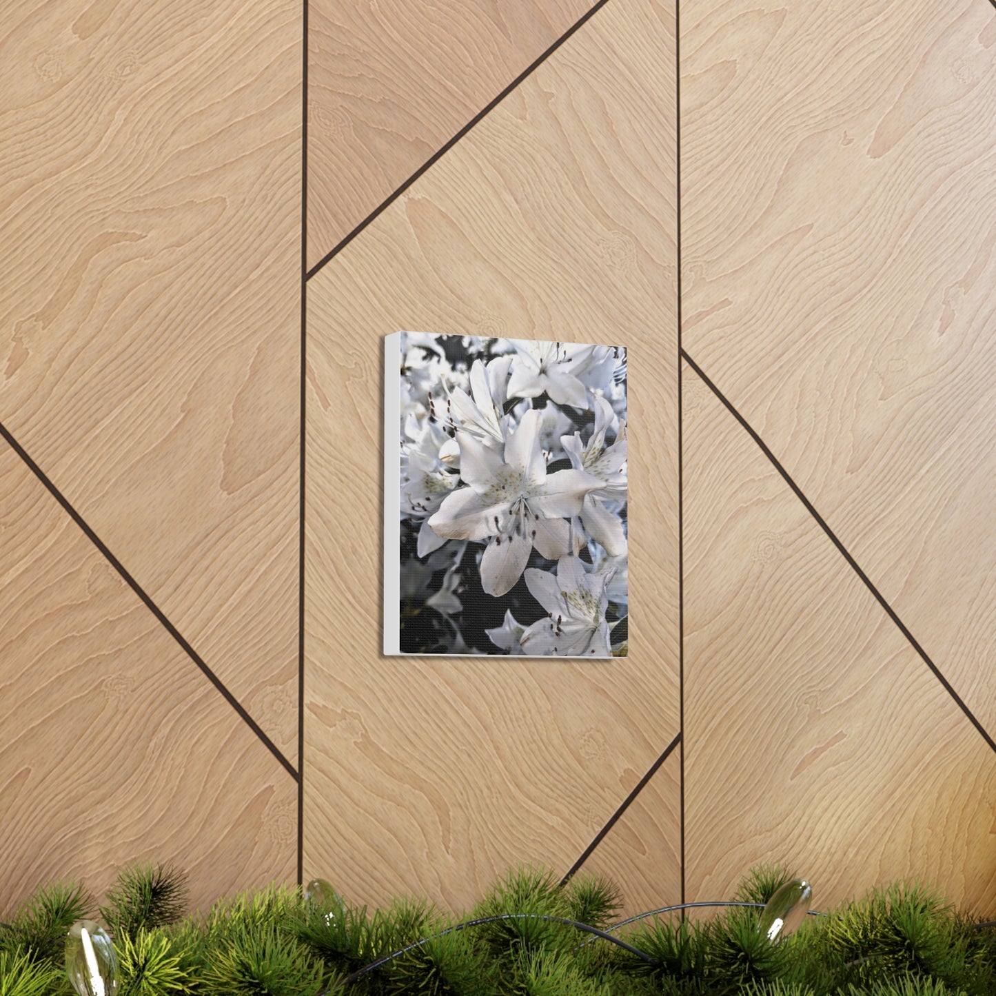 Classic White Blooms - Canvas Gallery Wraps