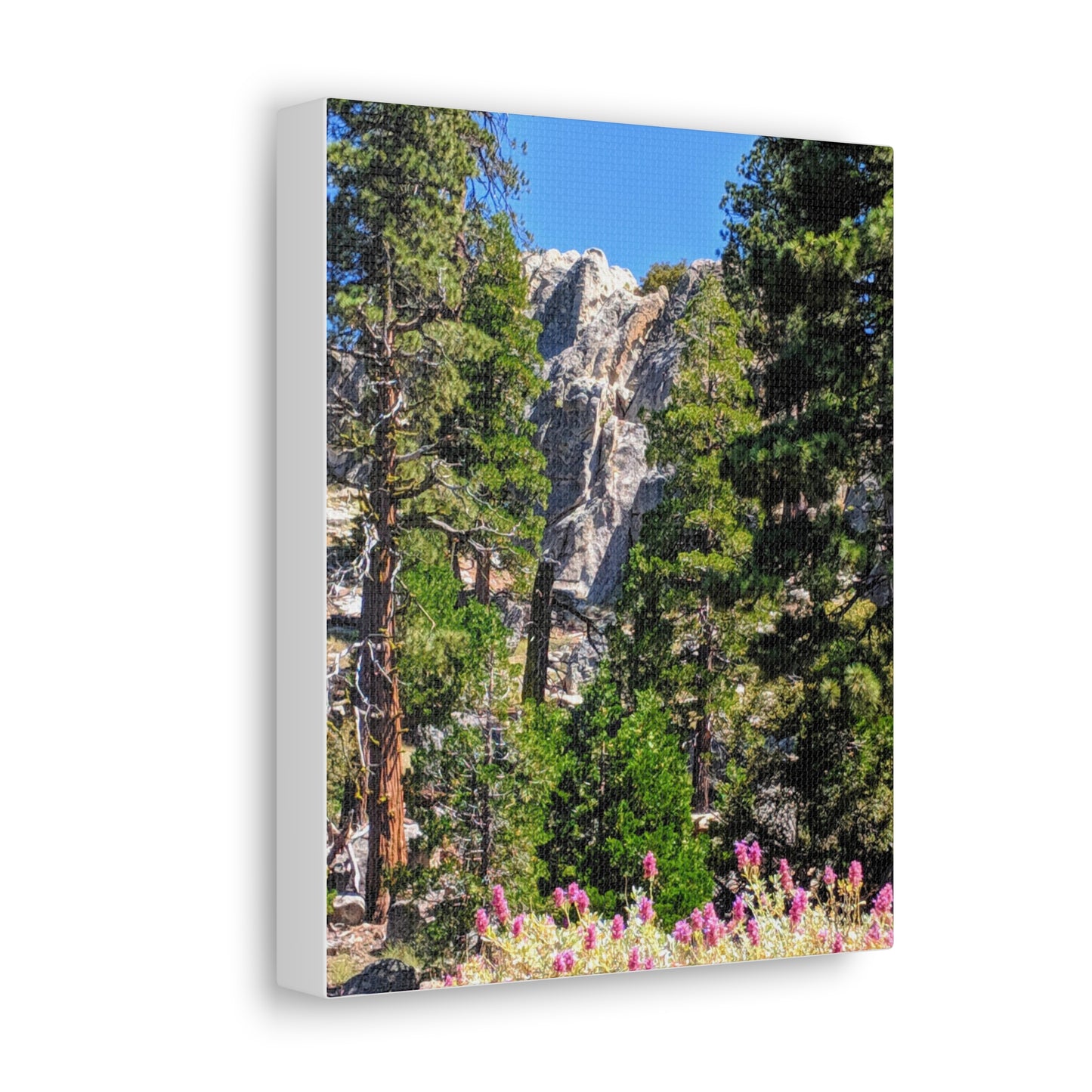 Mount San Jacinto State Park #1 - Canvas Gallery Wraps