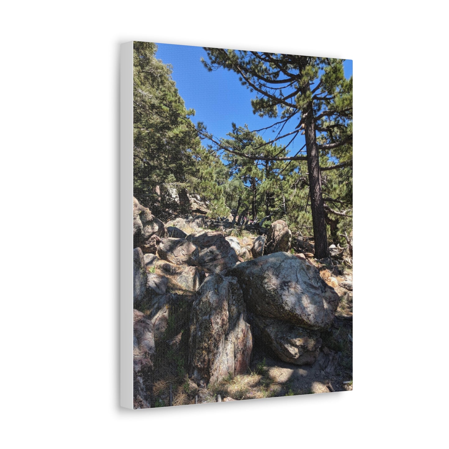 Mount San Jacinto State Park #2 - Canvas Gallery Wraps