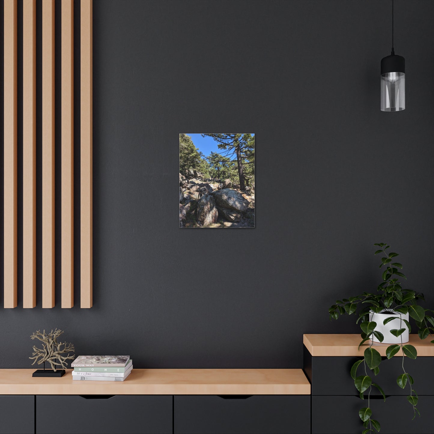 Mount San Jacinto State Park #2 - Canvas Gallery Wraps