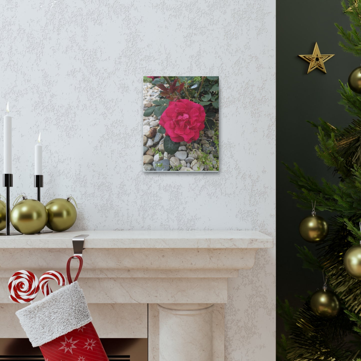 A Garden Rose - Canvas Gallery Wraps