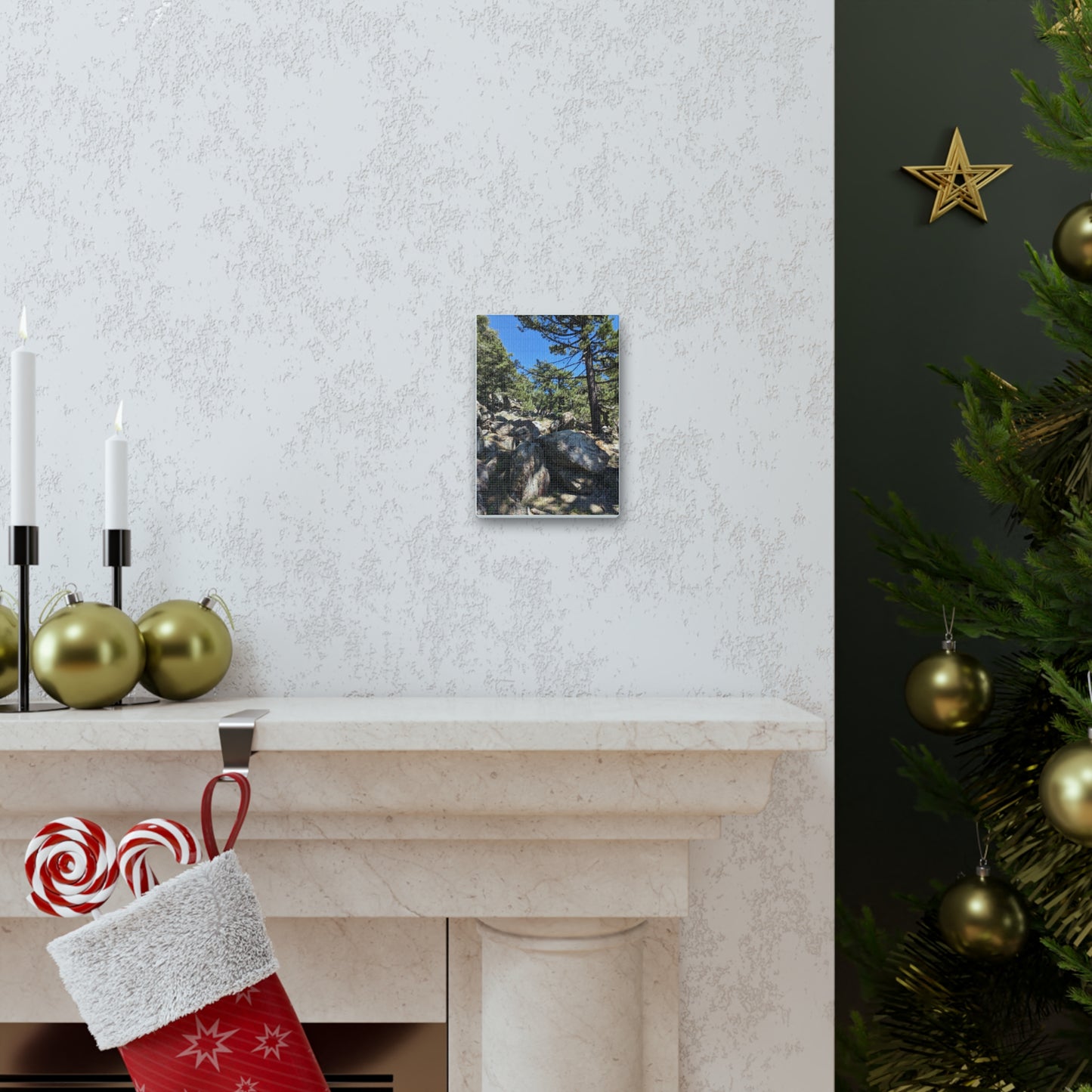 Mount San Jacinto State Park #2 - Canvas Gallery Wraps