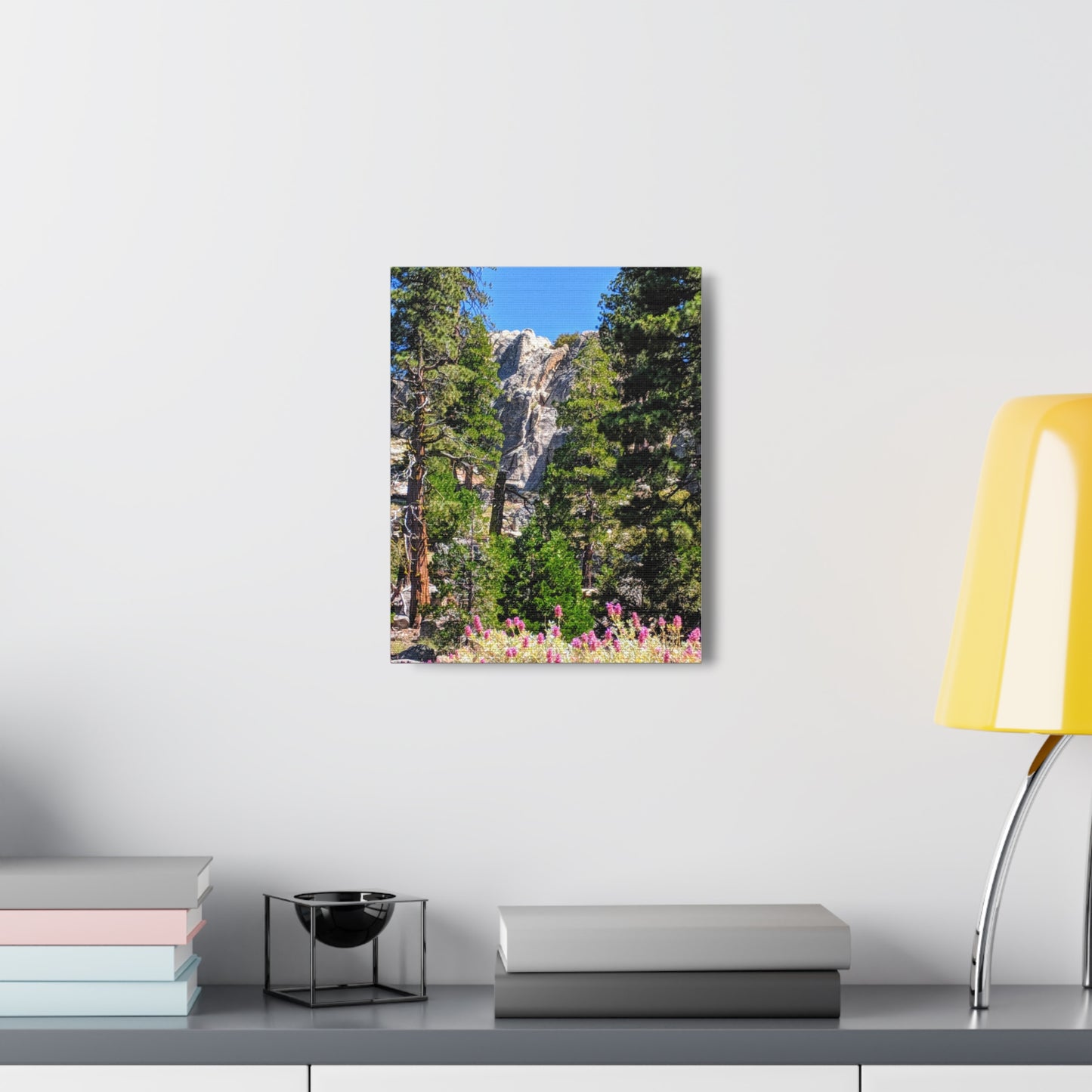 Mount San Jacinto State Park #1 - Canvas Gallery Wraps