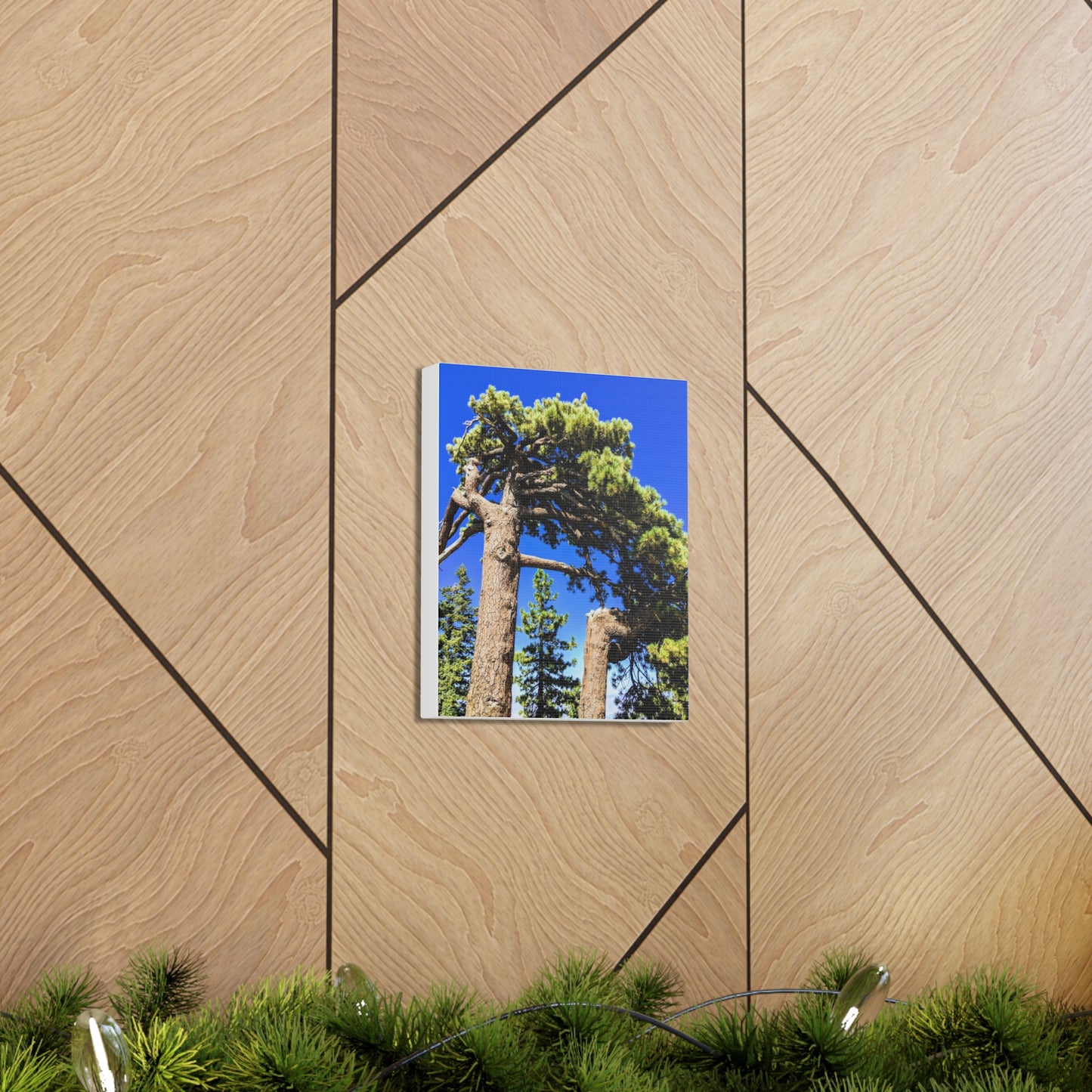 Mount San Jacinto State Park #3 - Canvas Gallery Wraps