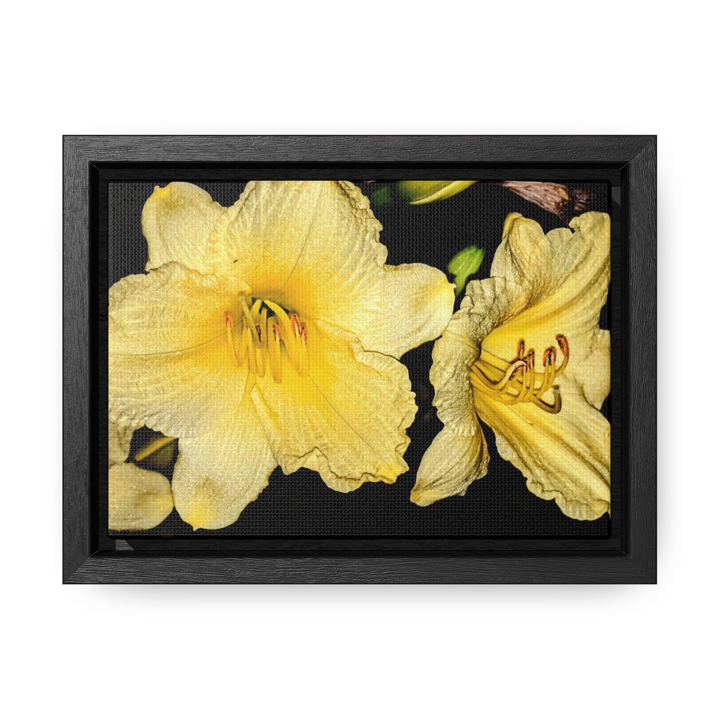 Yellow Flower - Gallery Canvas Wraps, Horizontal Frame