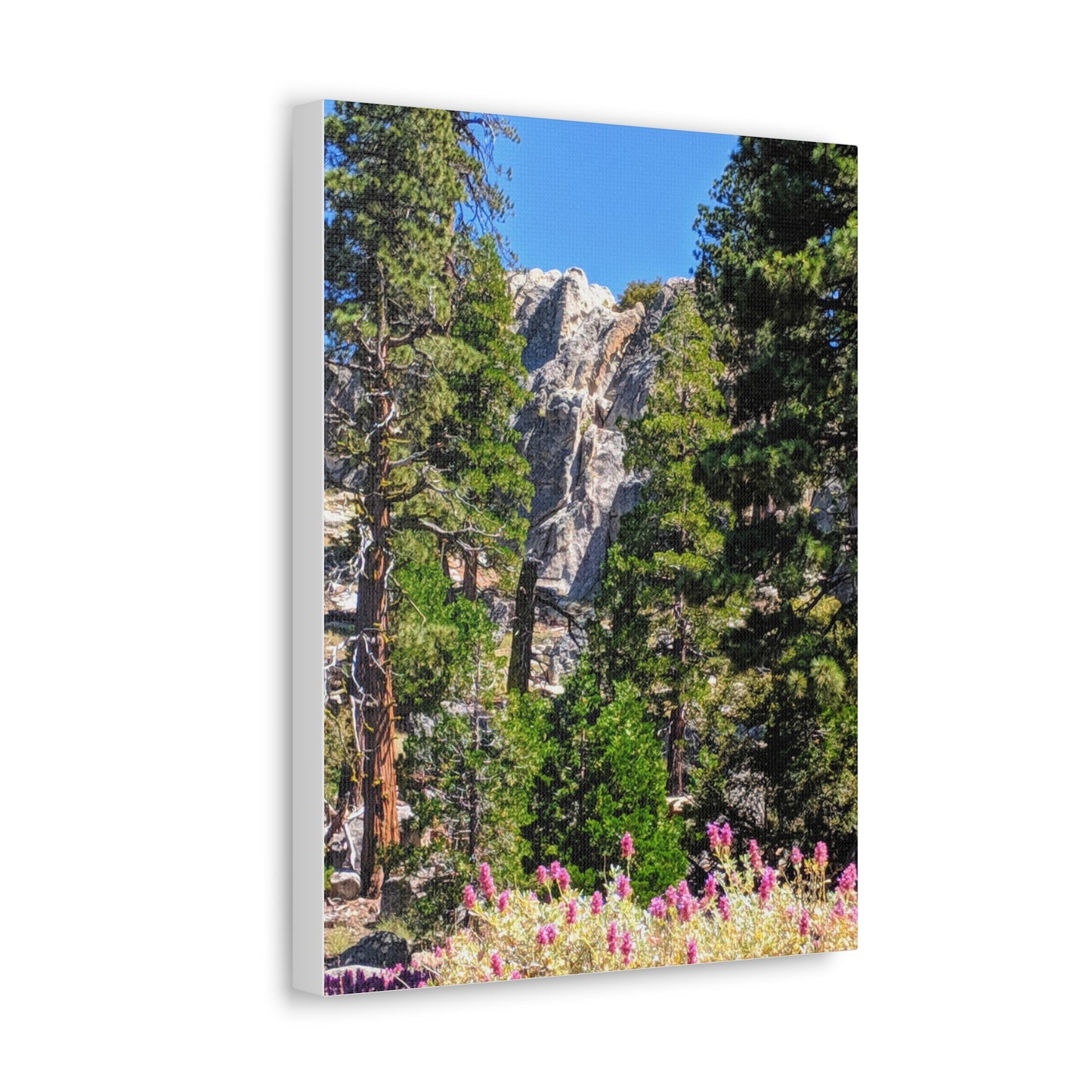 Mount San Jacinto State Park #1 - Canvas Gallery Wraps