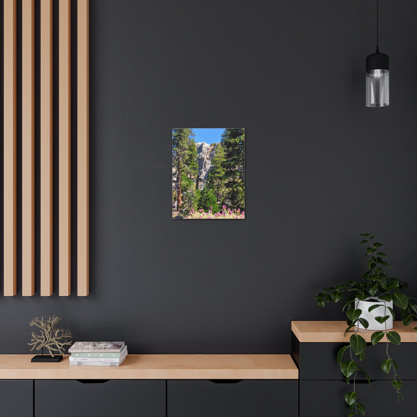 Mount San Jacinto State Park #1 - Canvas Gallery Wraps