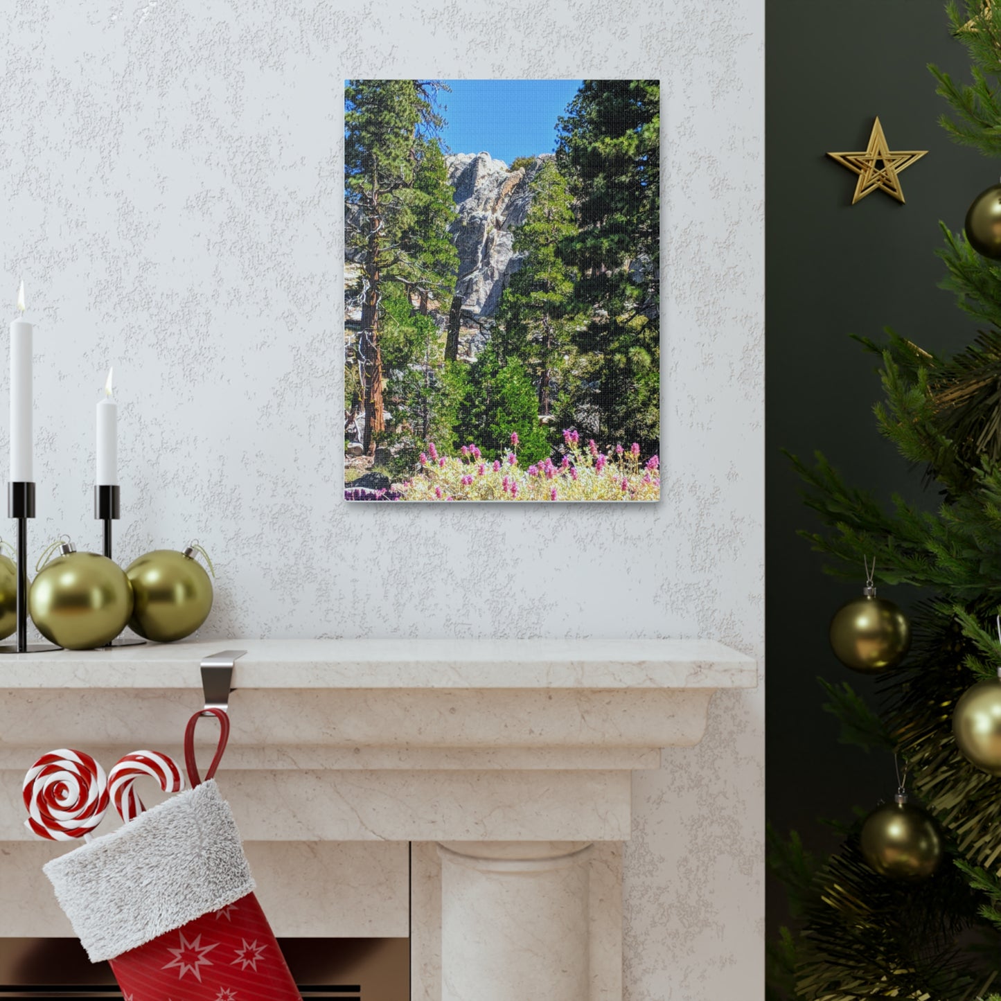 Mount San Jacinto State Park #1 - Canvas Gallery Wraps