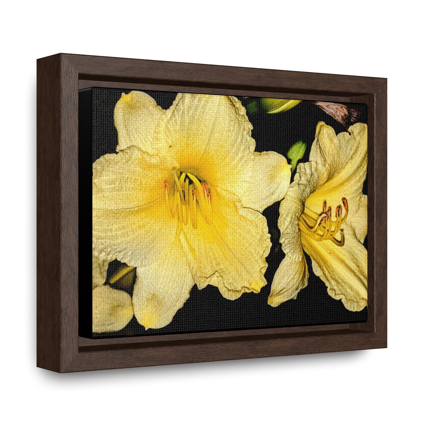 Yellow Flower - Gallery Canvas Wraps, Horizontal Frame