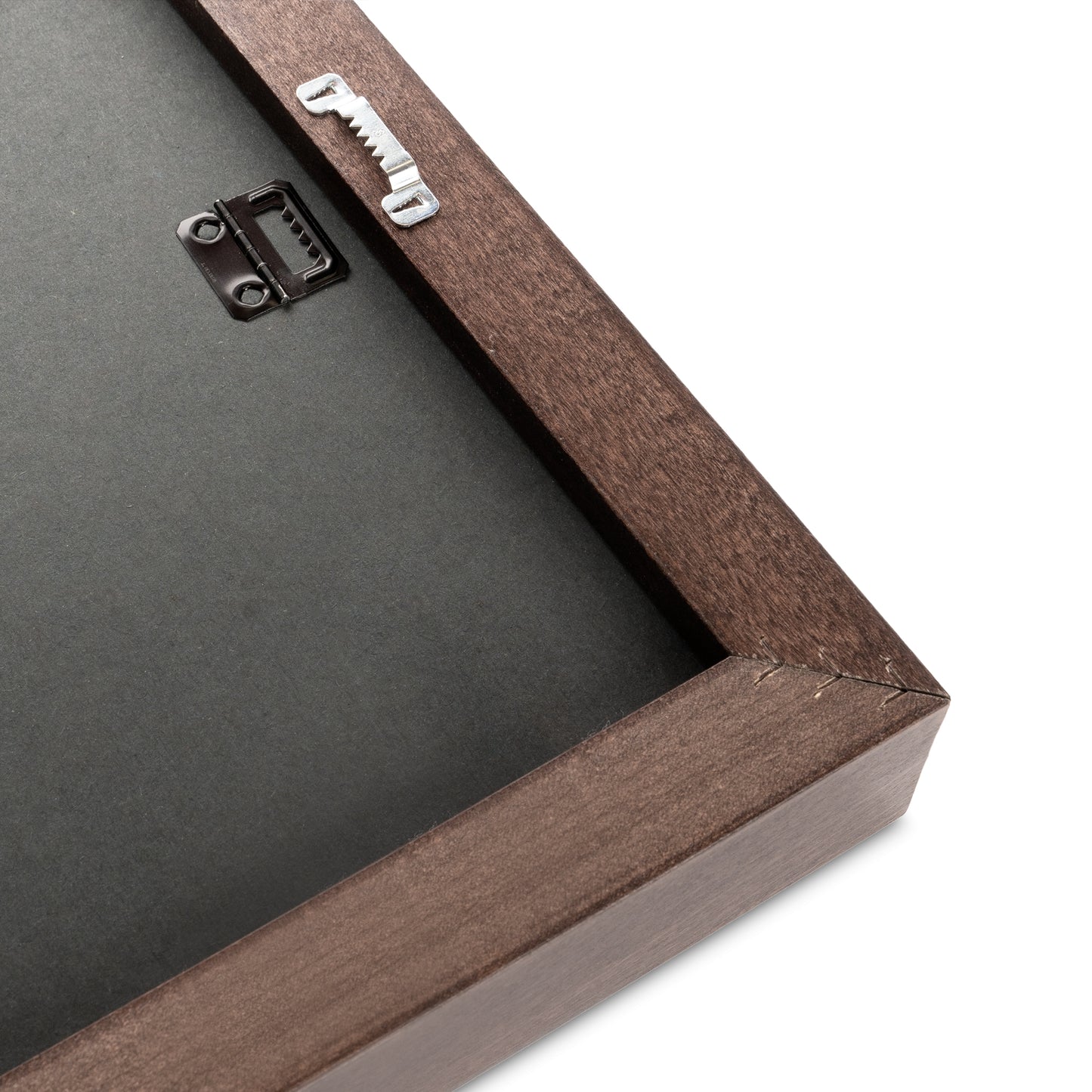 Garden flower after a gentle rain #2