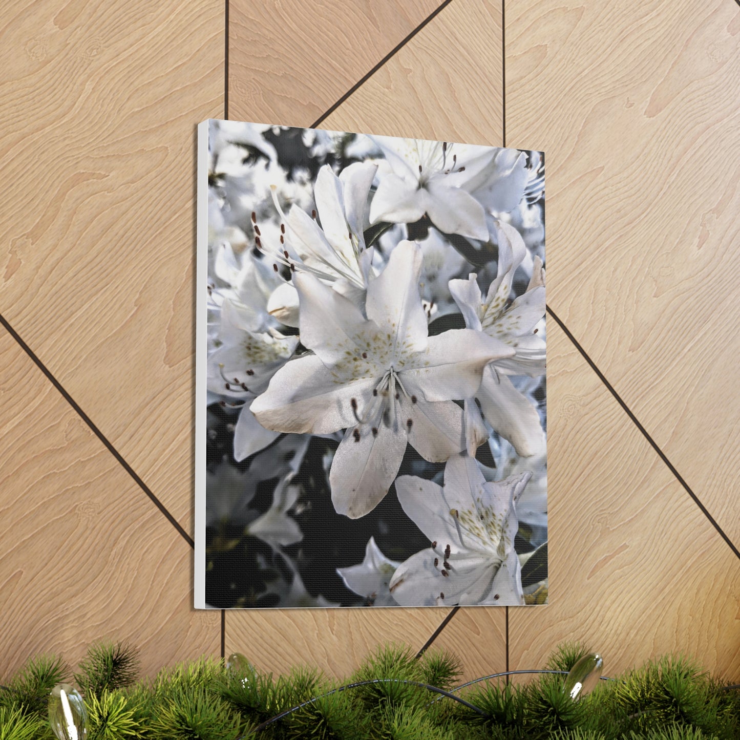 Classic White Blooms - Canvas Gallery Wraps